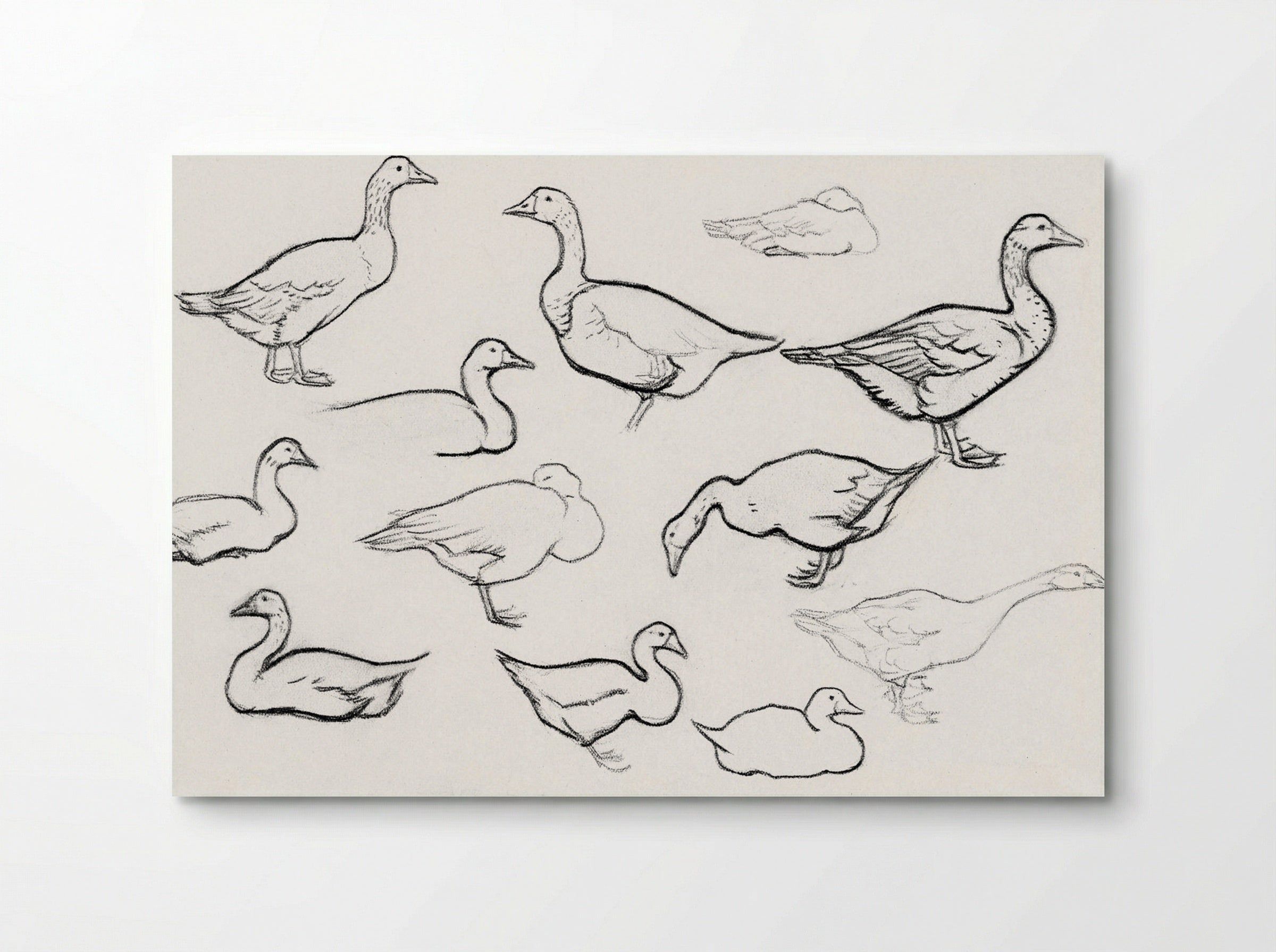Study of Geese - Julie de Graag - Poster