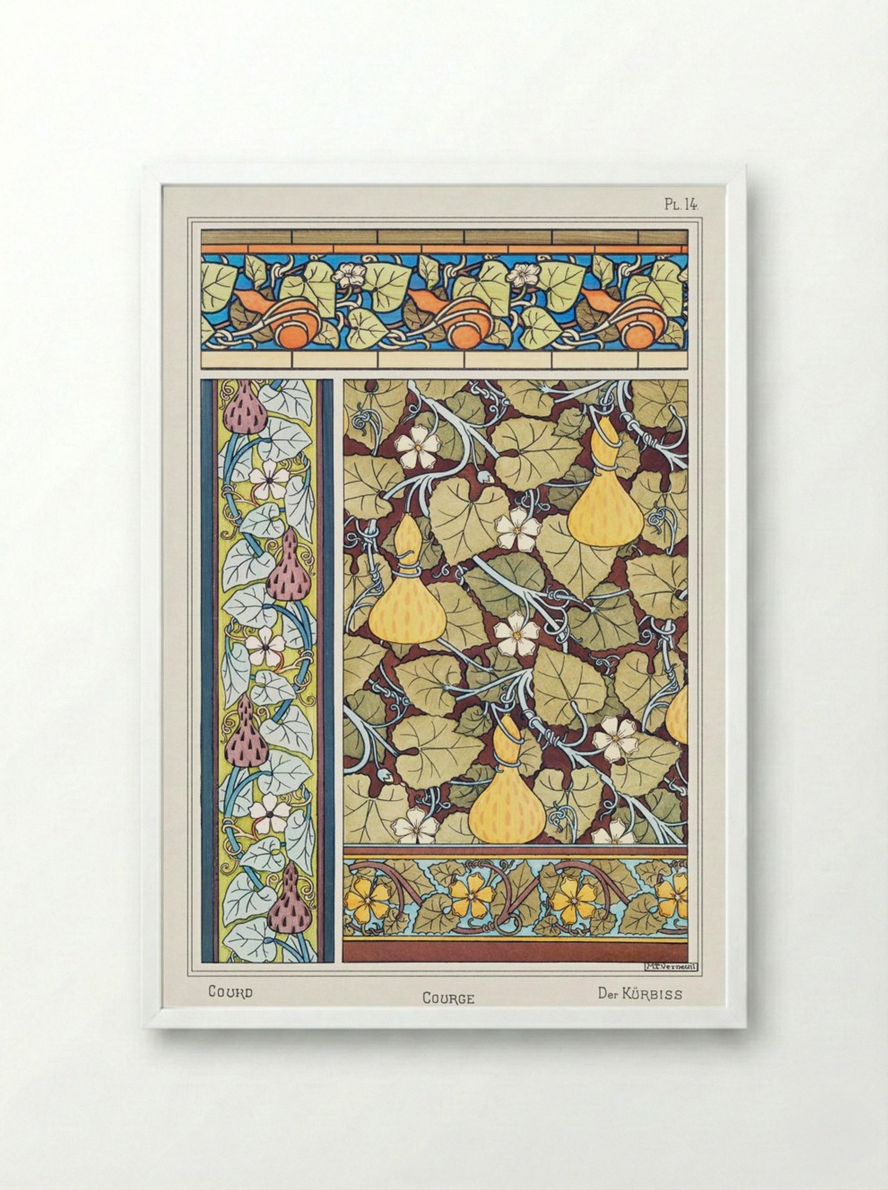 Courge (White-Flowered Gourd, from La Plante et ses Applications ornementales) - Maurice Pillard Verneuil - Framed Print White