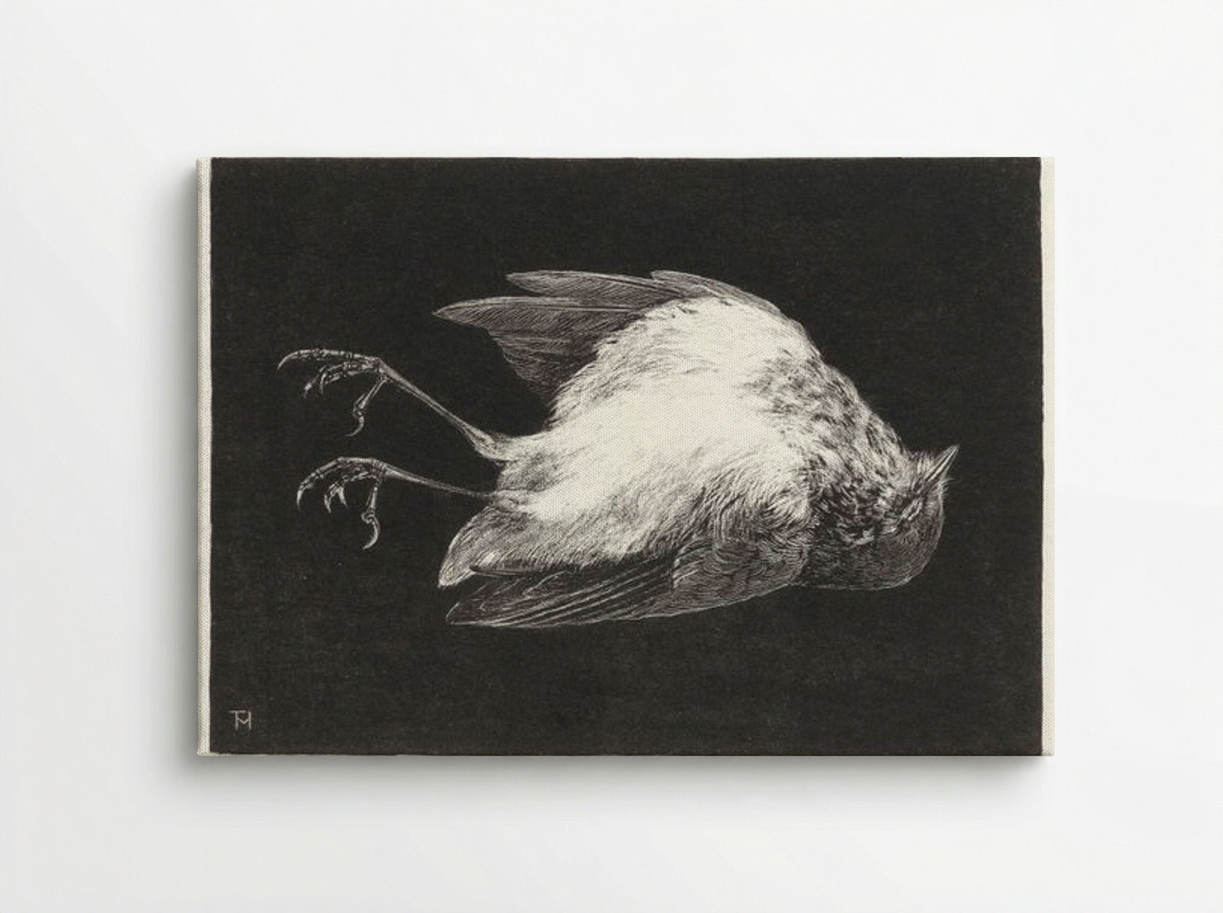 Dood Roodborstje (Dead Robin) - Theo van Hoytema - Canvas