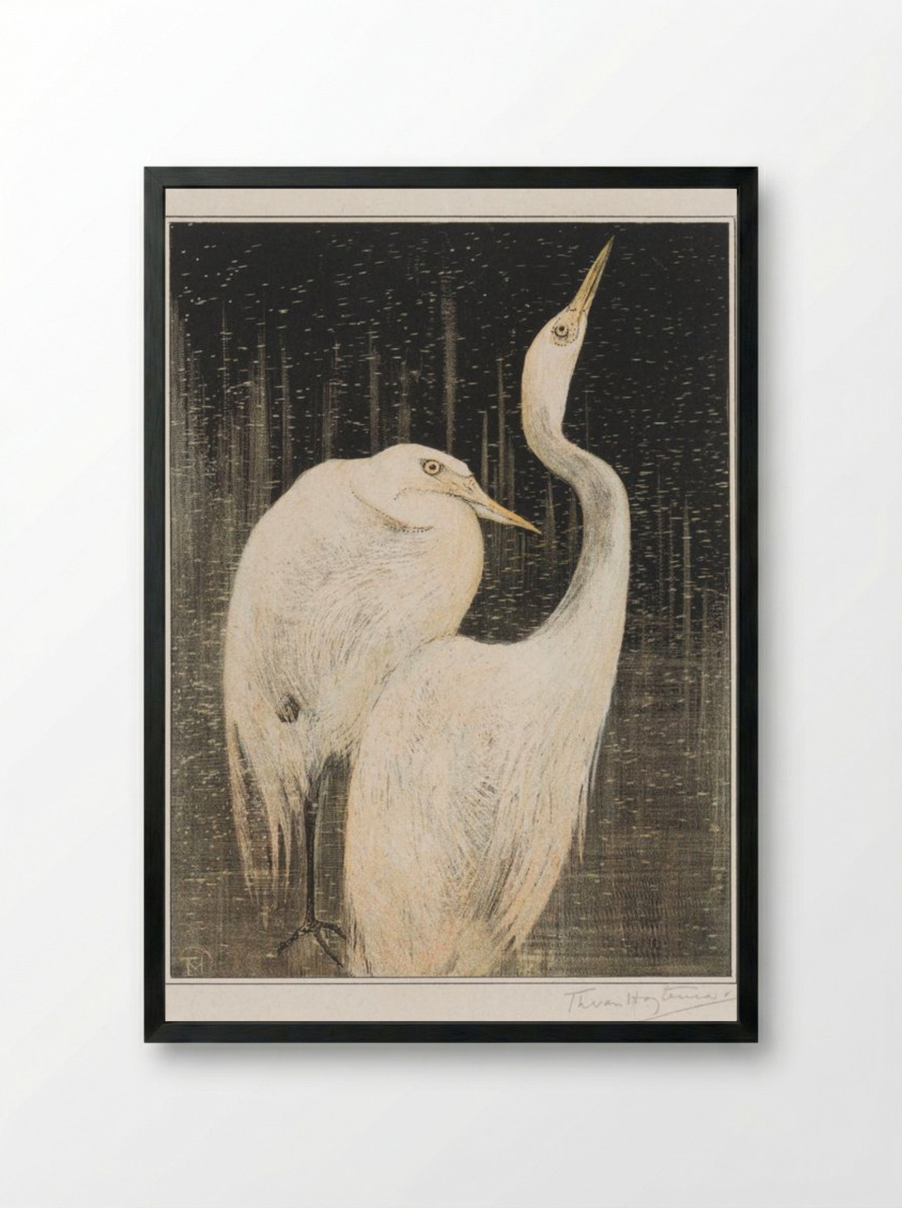 Two Egrets - Theo van Hoytema - Framed Print Black