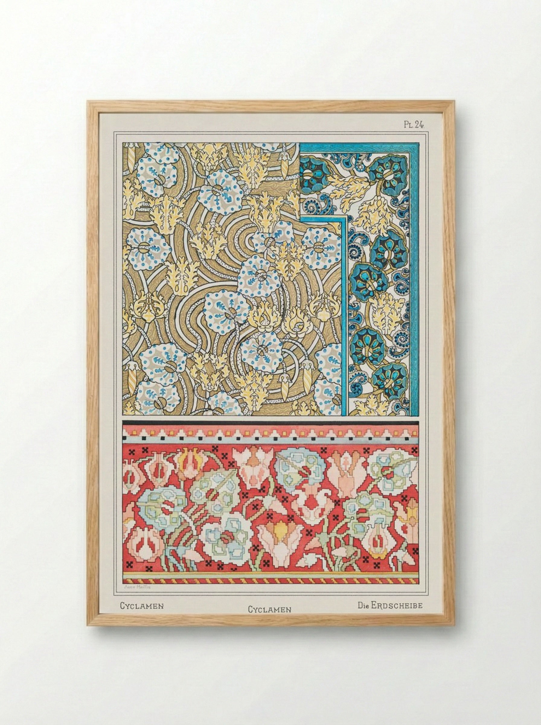 Cyclamen, from 'La Plante et ses Applications ornementales' - Maurice Pillard Verneuil - Framed Print Wood