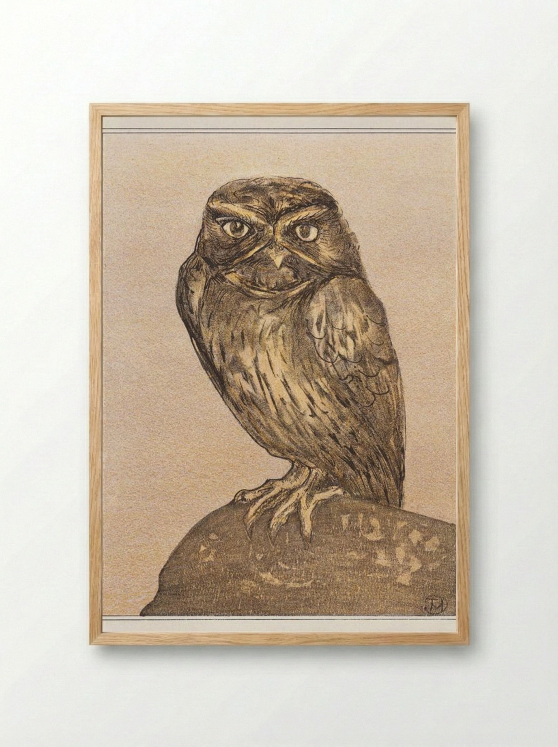 Little Owl on a Rock - Theo van Hoytema - Framed Print Wood