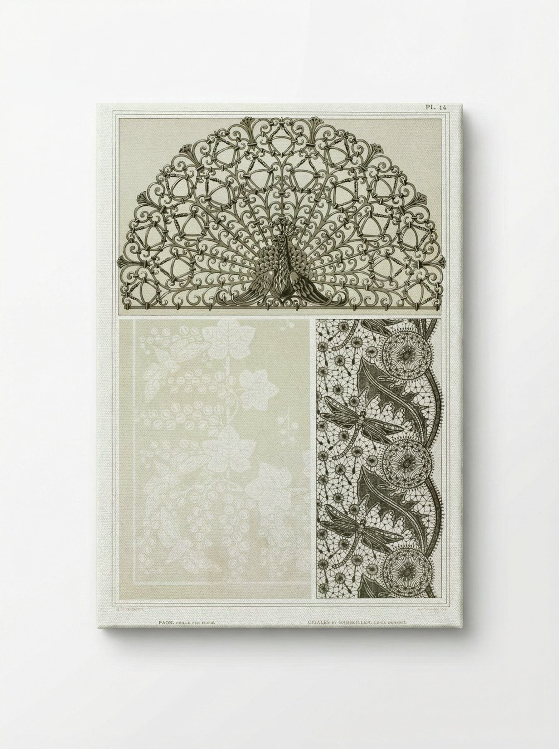 L'Animal dans la Décoration, Plate 14 (Peacock, Cicadas, Dragonflies) - Maurice Pillard Verneuil - Canvas