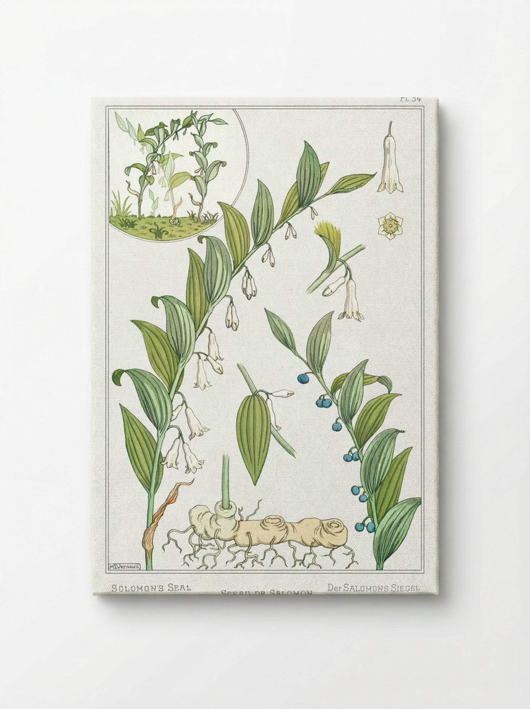 Sceau de Salomon (Solomon's Seal) - Maurice Pillard Verneuil - Canvas
