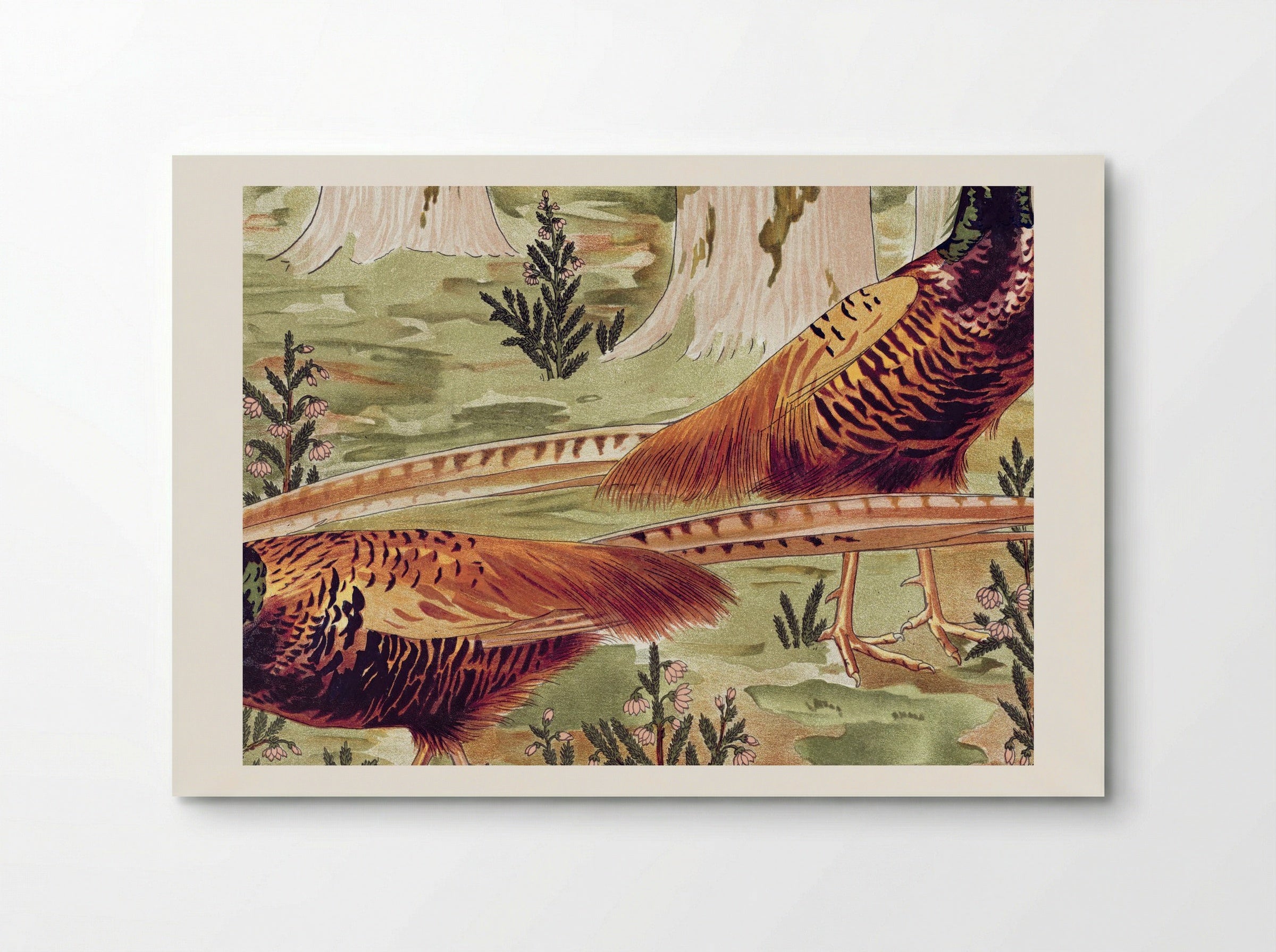 Faisans Ordinaires (Common Pheasants) - Maurice Pillard Verneuil - Poster