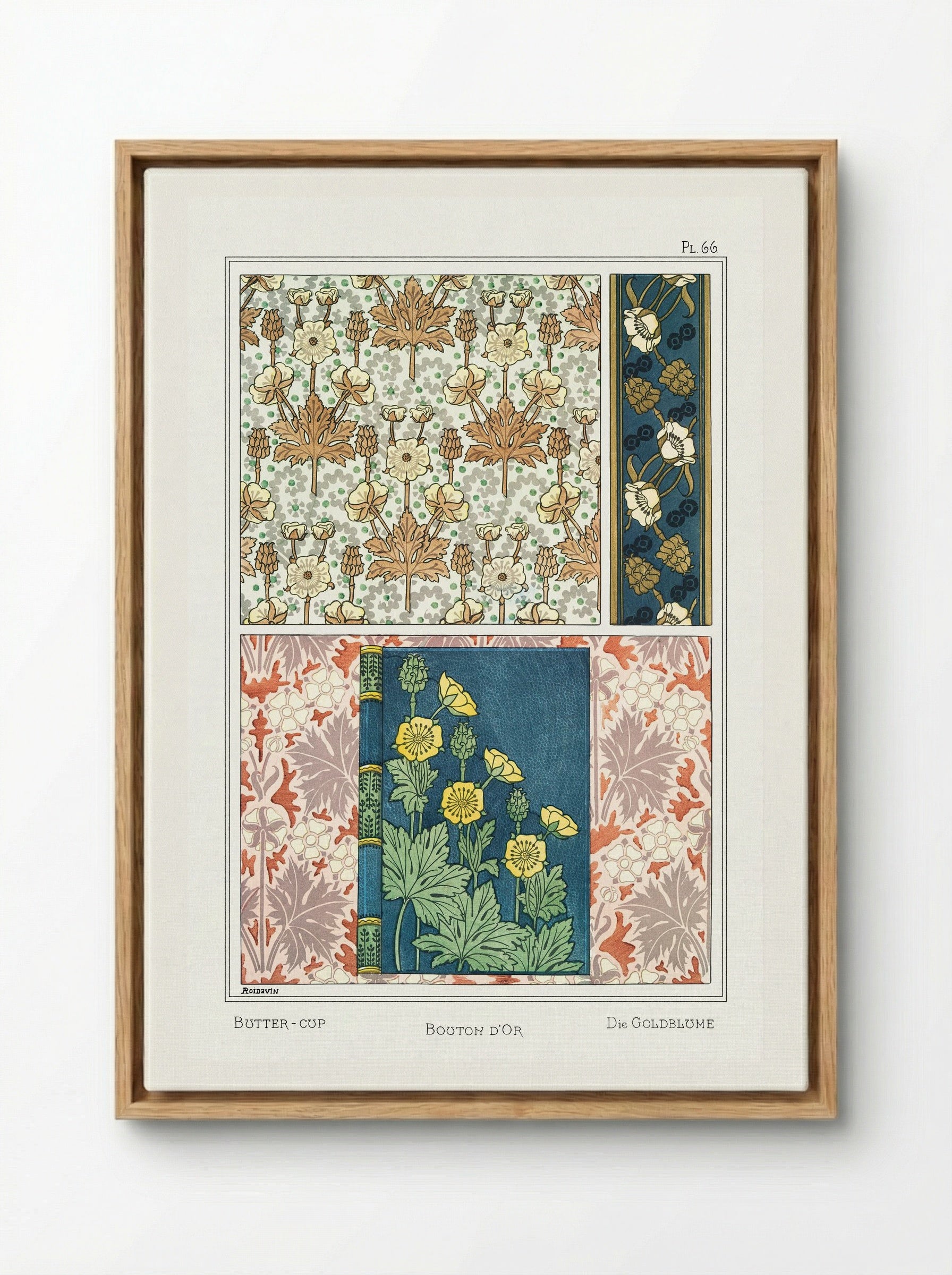 Bouton d'Or (Buttercup) from La Plante et ses Applications ornementales - Maurice Pillard Verneuil - Framed Canvas Wood