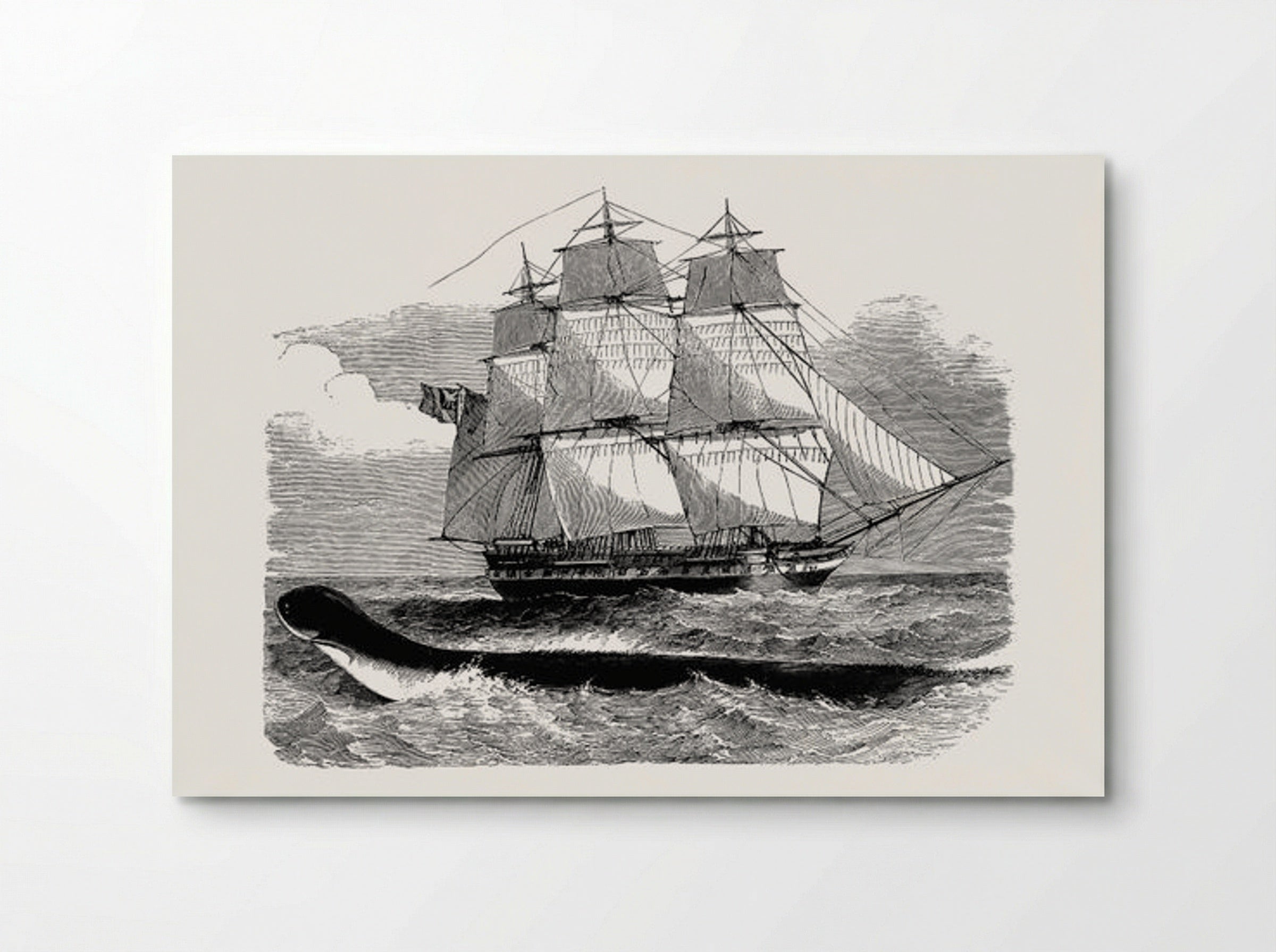 The Great Sea-Serpent, When First Seen From H.M.S. Daedalus - Fine Art Print - Poster