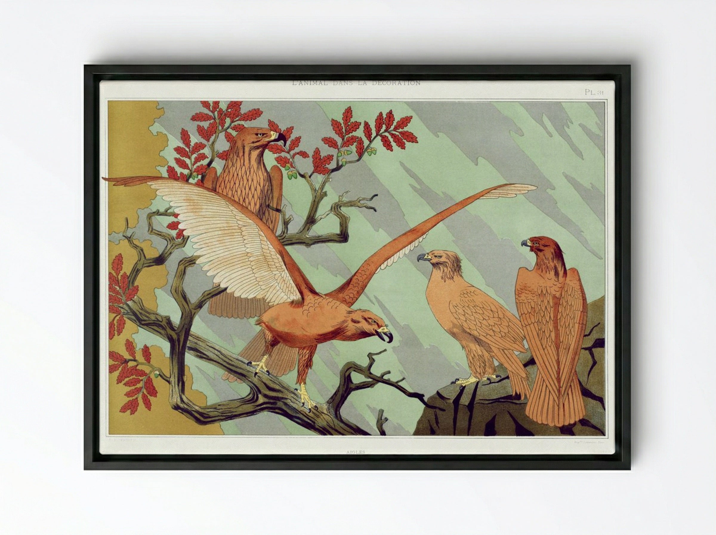 Aigles (Eagles) from L'animal dans la décoration - Maurice Pillard Verneuil - Framed Canvas Black
