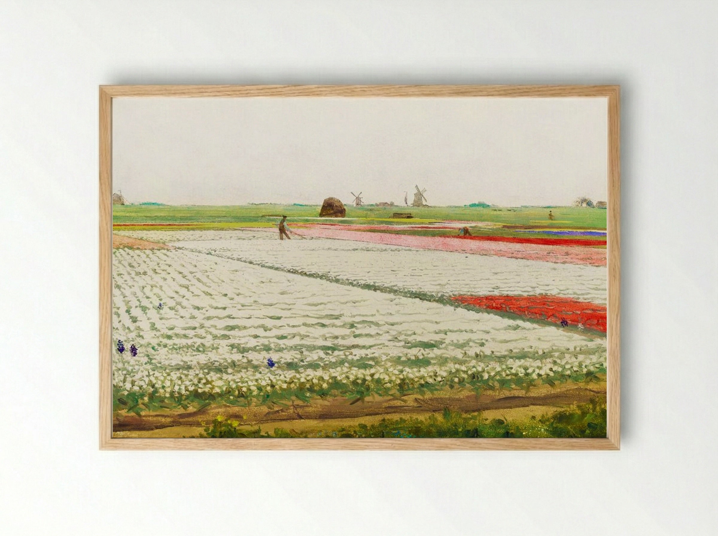 Tulip Fields - Gerrit Willem Dijsselhof - Framed Print Wood