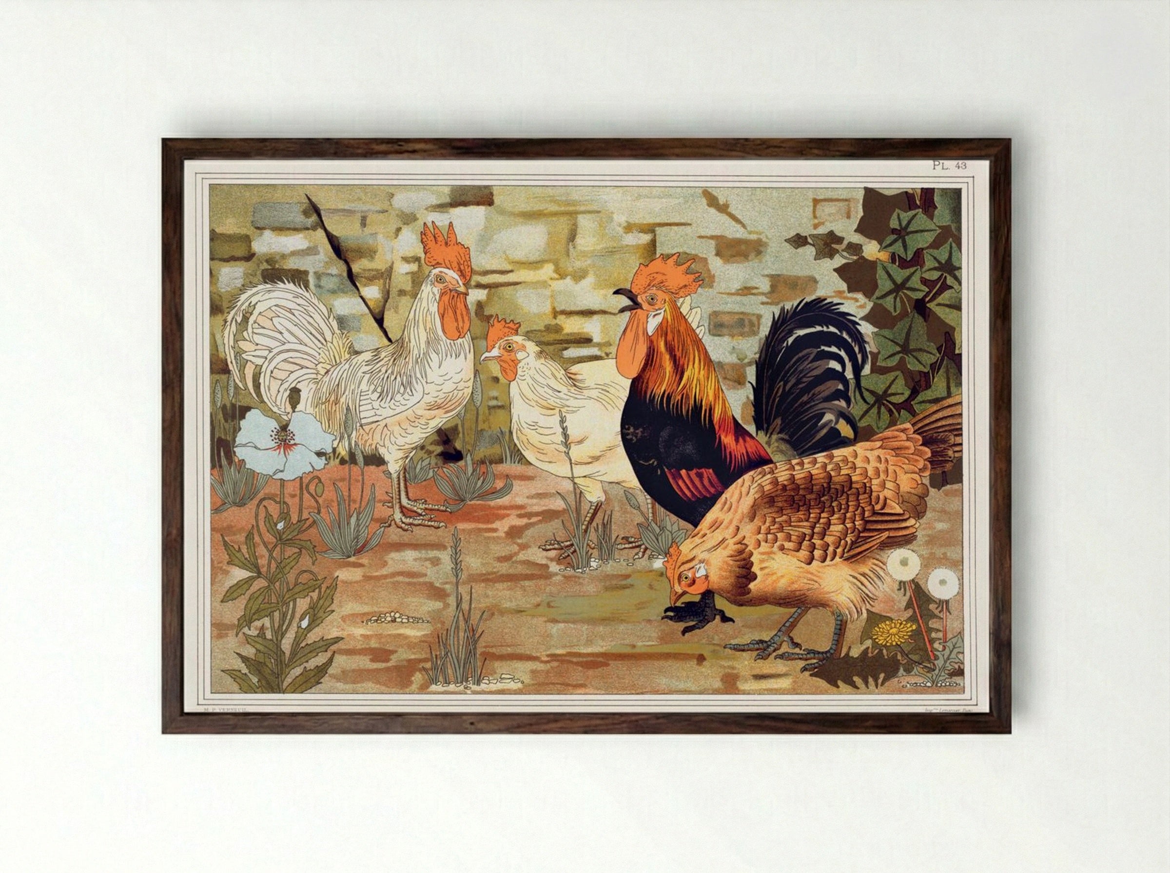 Coqs et Poules (From L'animal dans la décoration) - Maurice Pillard Verneuil - Framed Print Dark Wood