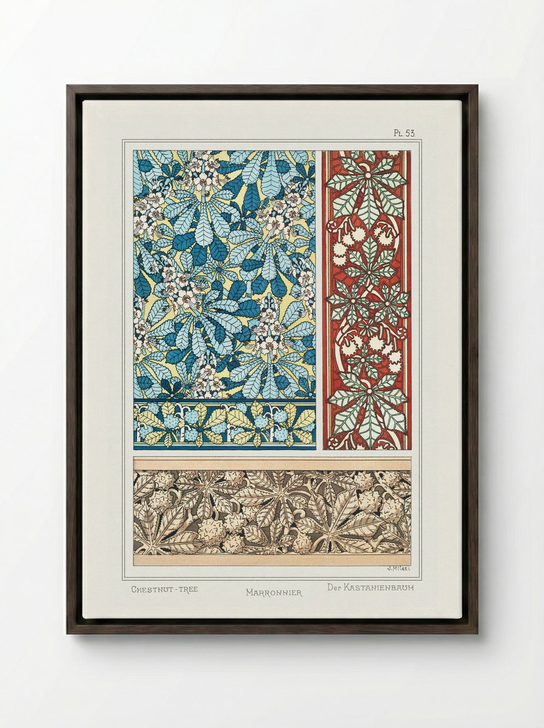 Marronnier (Chestnut Tree) from La Plante et ses Applications ornementales - Maurice Pillard Verneuil - Framed Canvas Dark Wood