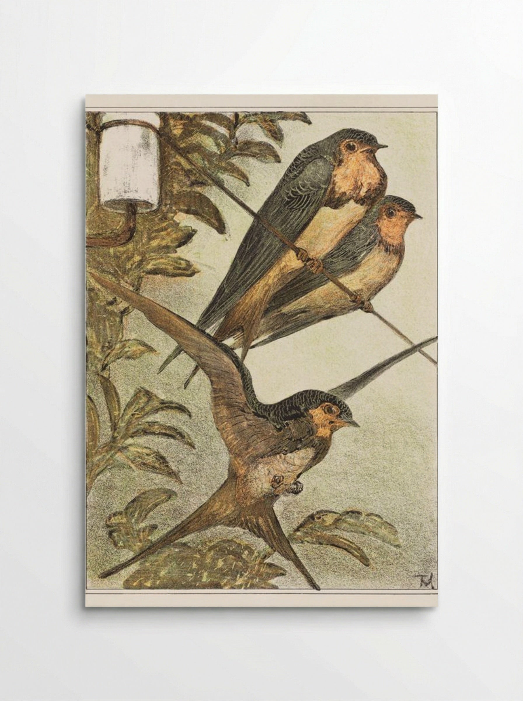 Drie zwaluwen (Three Swallows) - Theo van Hoytema - Poster
