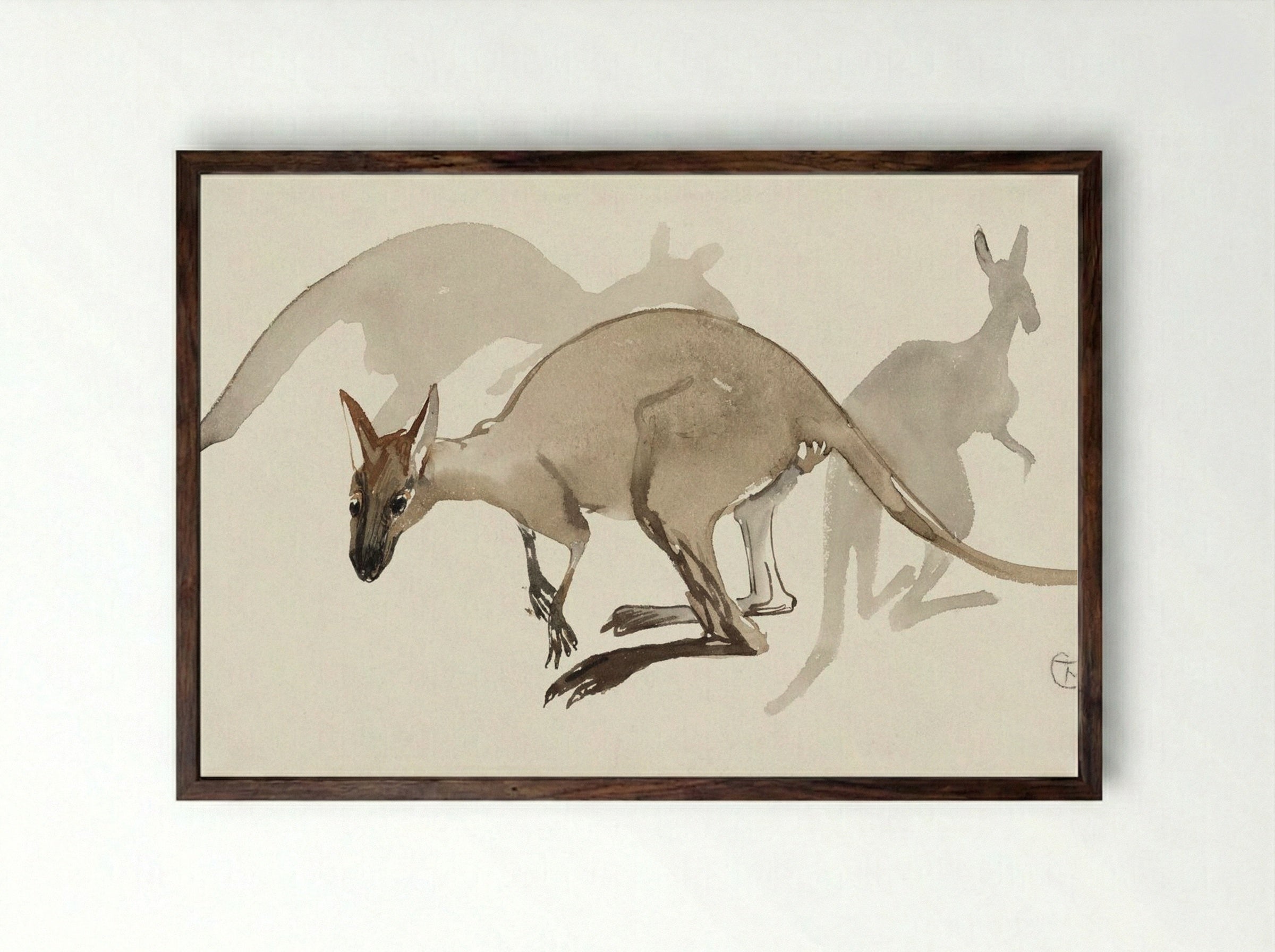 Kangaroos - Theo van Hoytema - Framed Print Dark Wood