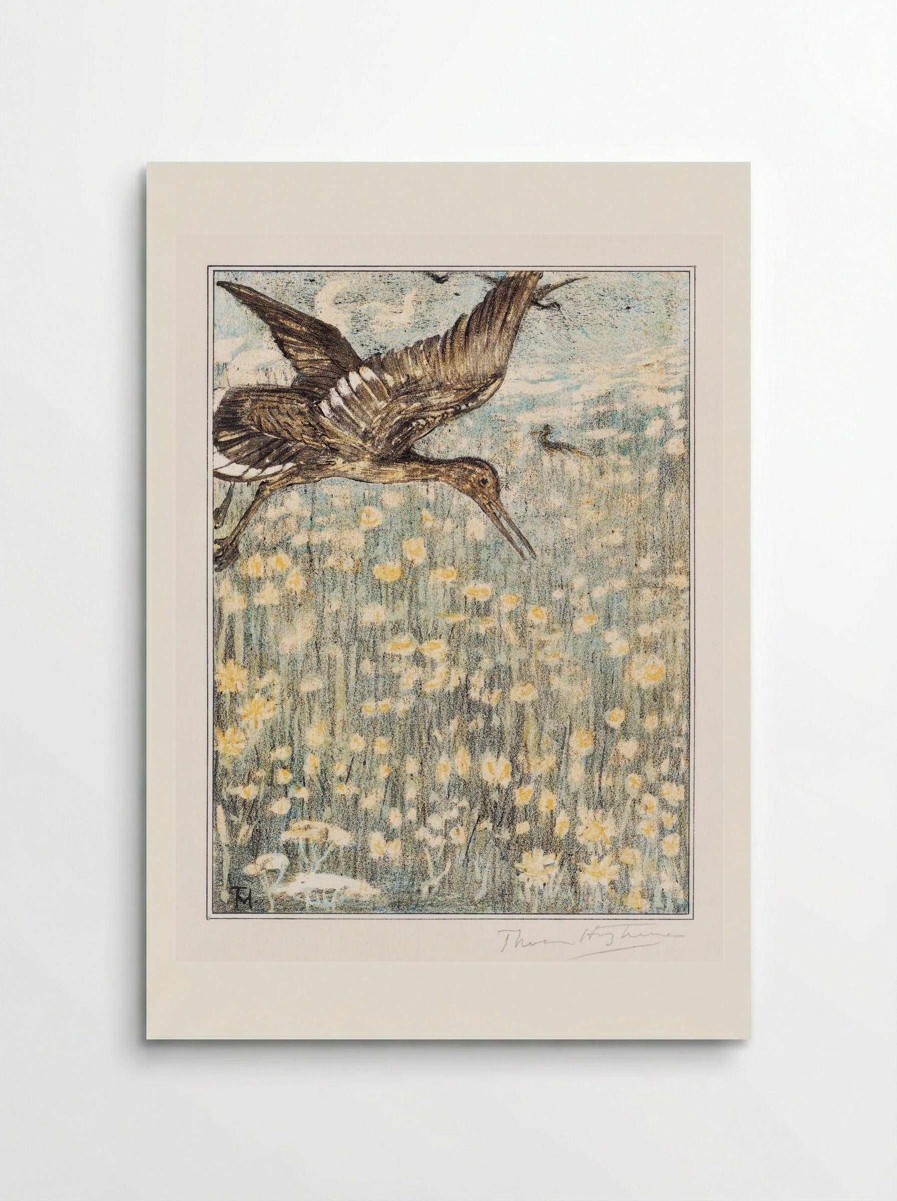 Tureluur (Redshank) - Theo van Hoytema - Poster