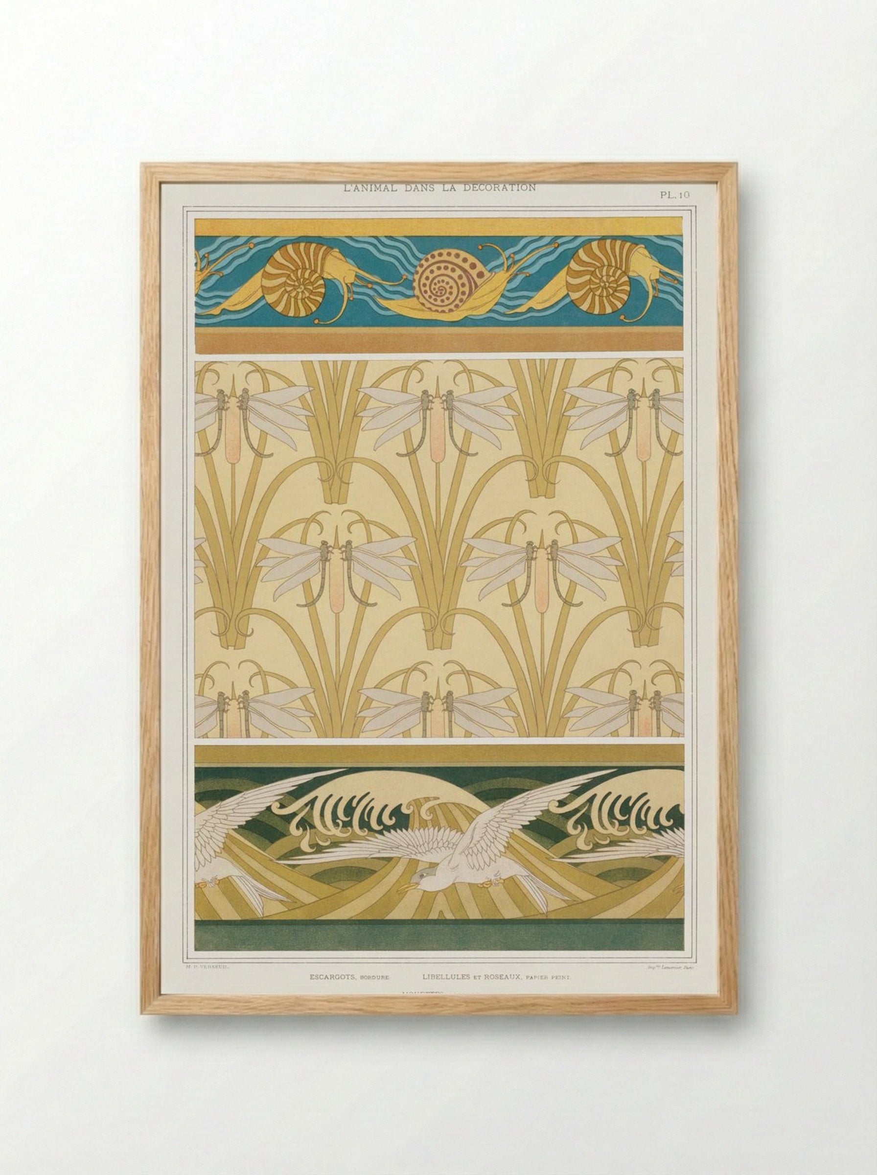 L'Animal dans la Décoration, Plate 10 (Snails, Dragonflies, Seagulls) - Maurice Pillard Verneuil - Framed Print Wood