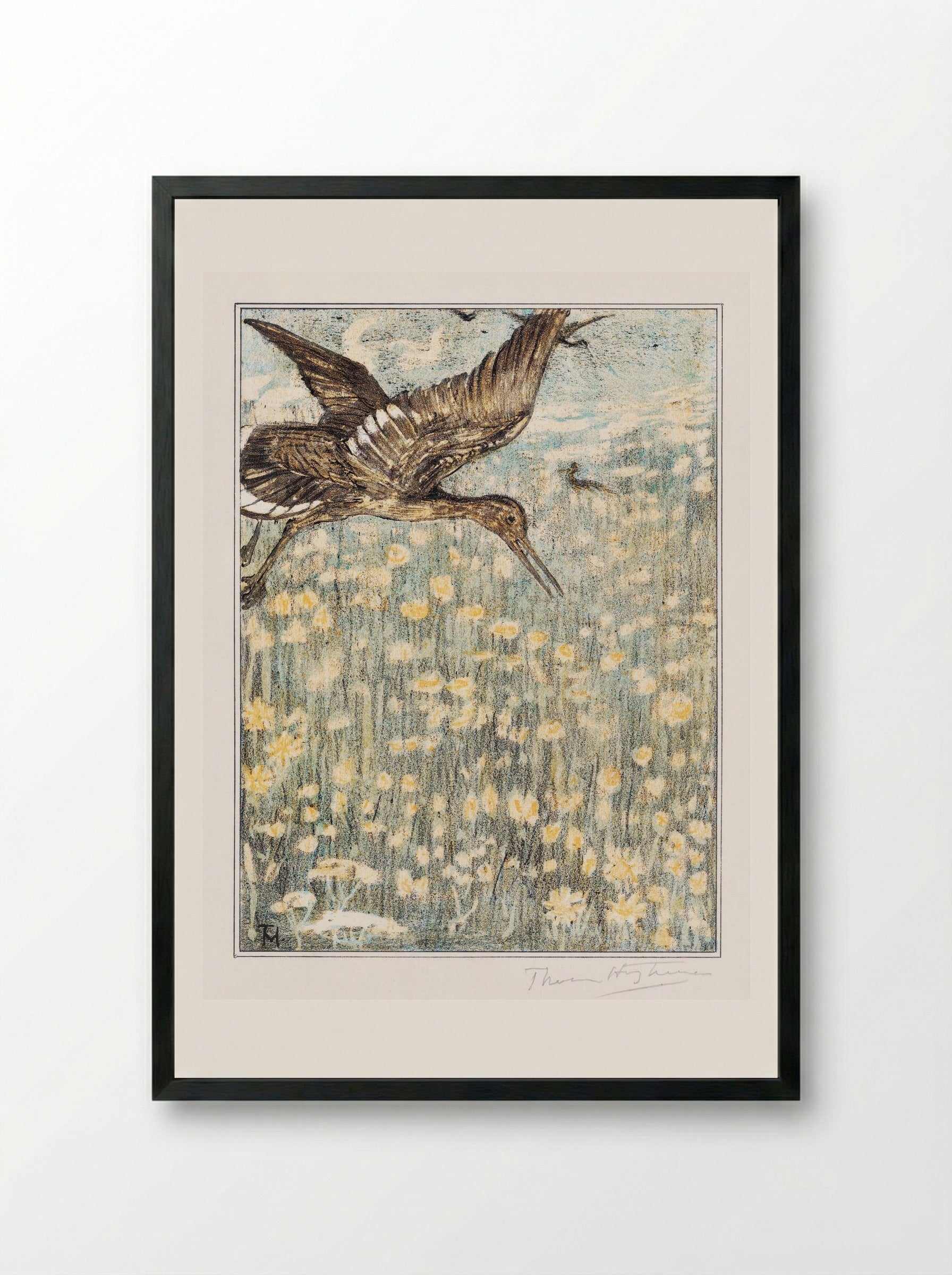 Tureluur (Redshank) - Theo van Hoytema - Framed Print Black