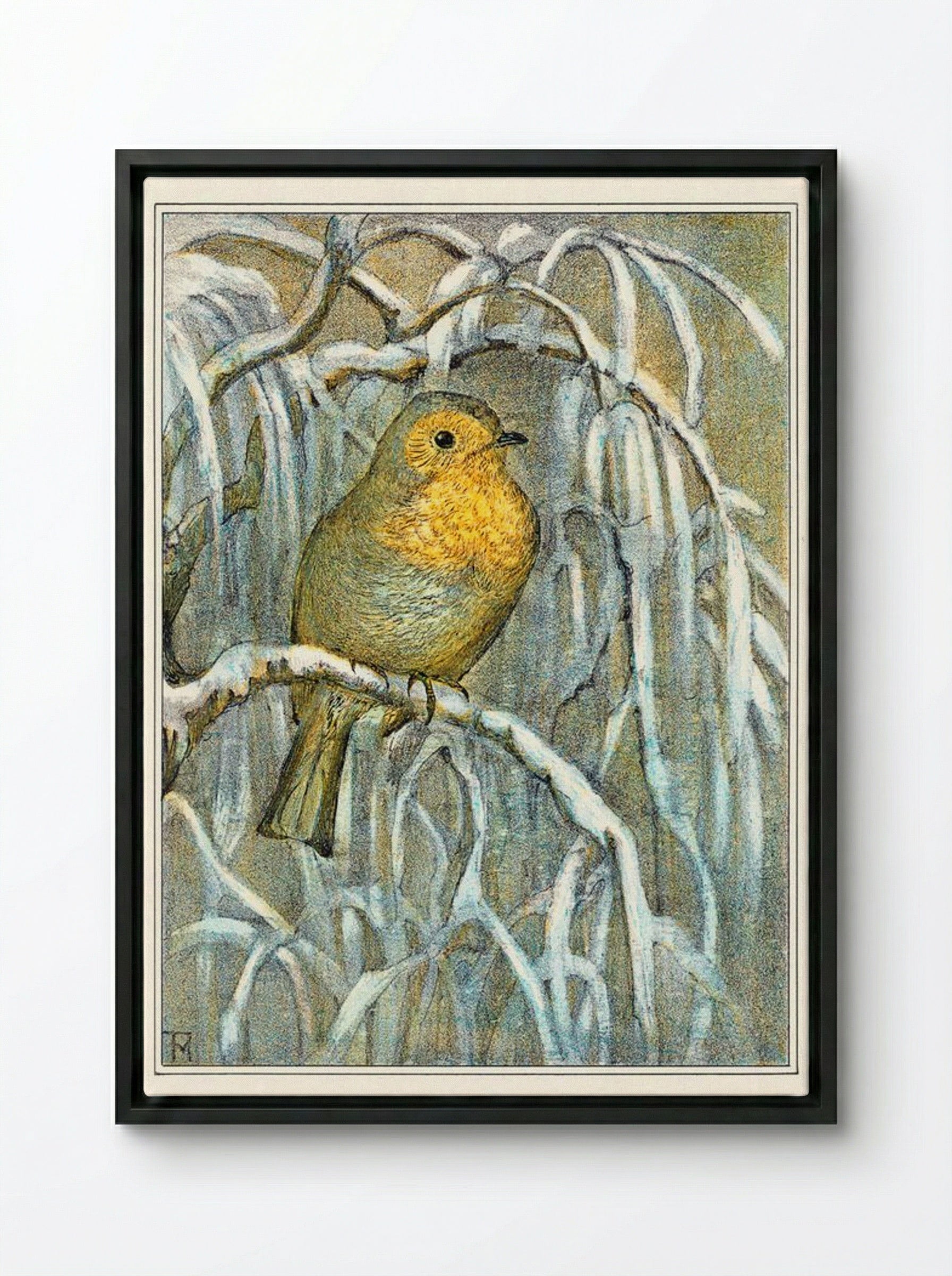 Robin on Snowy Branch - Theo van Hoytema - Framed Canvas Black