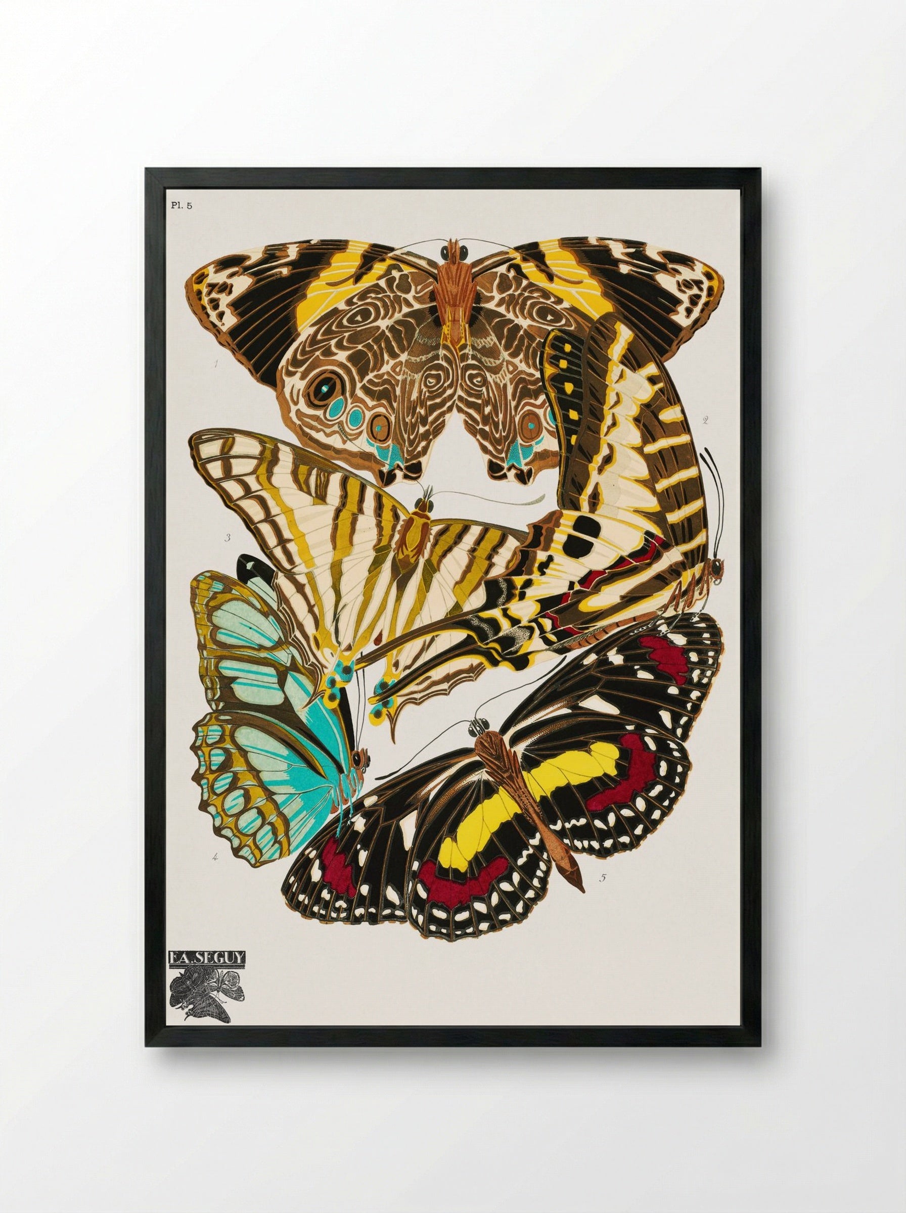 Butterflies, Plate 5 - Émile-Allain Séguy - Framed Print Black