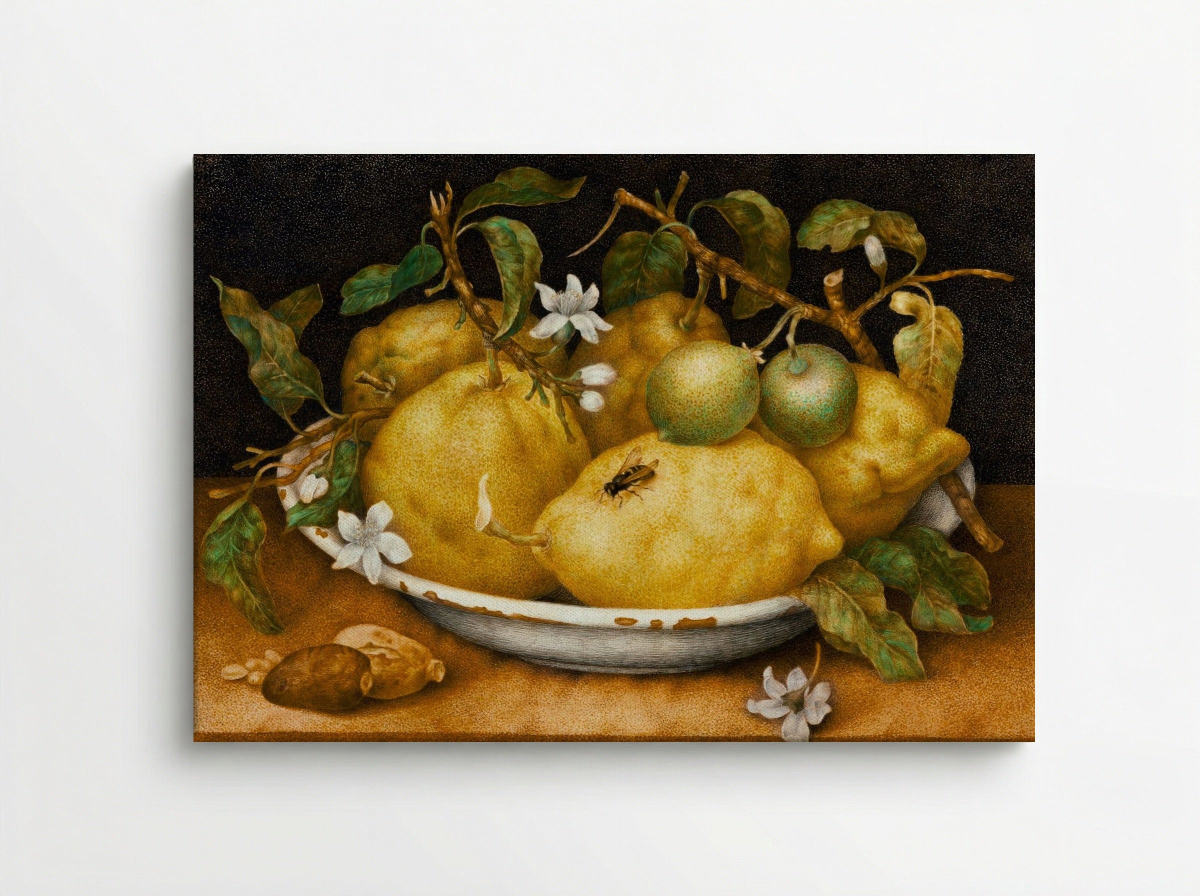 Still Life with Bowl of Citrons - Giovanna Garzoni - Canvas