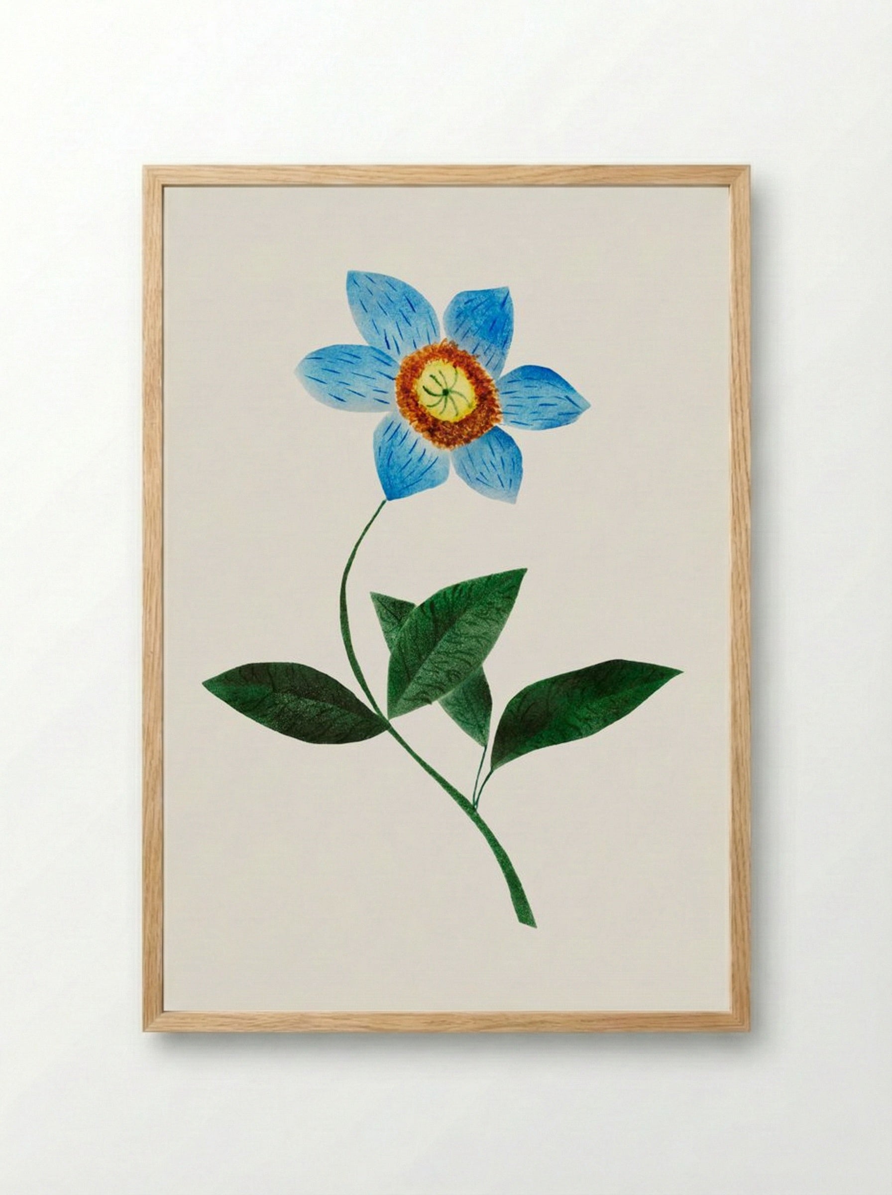 Star Flower - Mary Altha Nims - Framed Print Wood