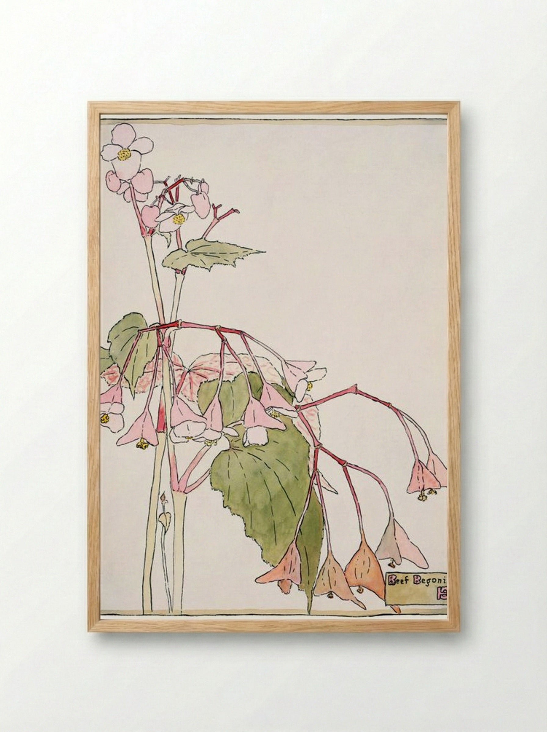 Beef Begonia - Hannah Borger Overbeck - Framed Print Wood