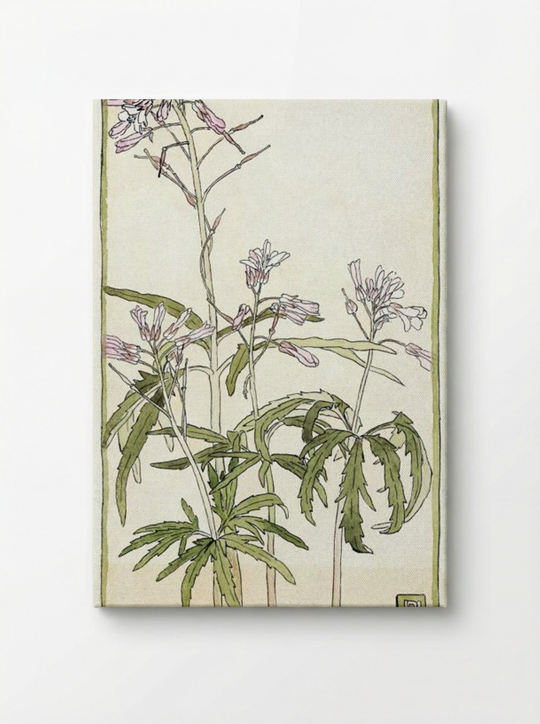 Pink Flowers with Spiky Green Leaves - Hannah Borger Overbeck - Canvas