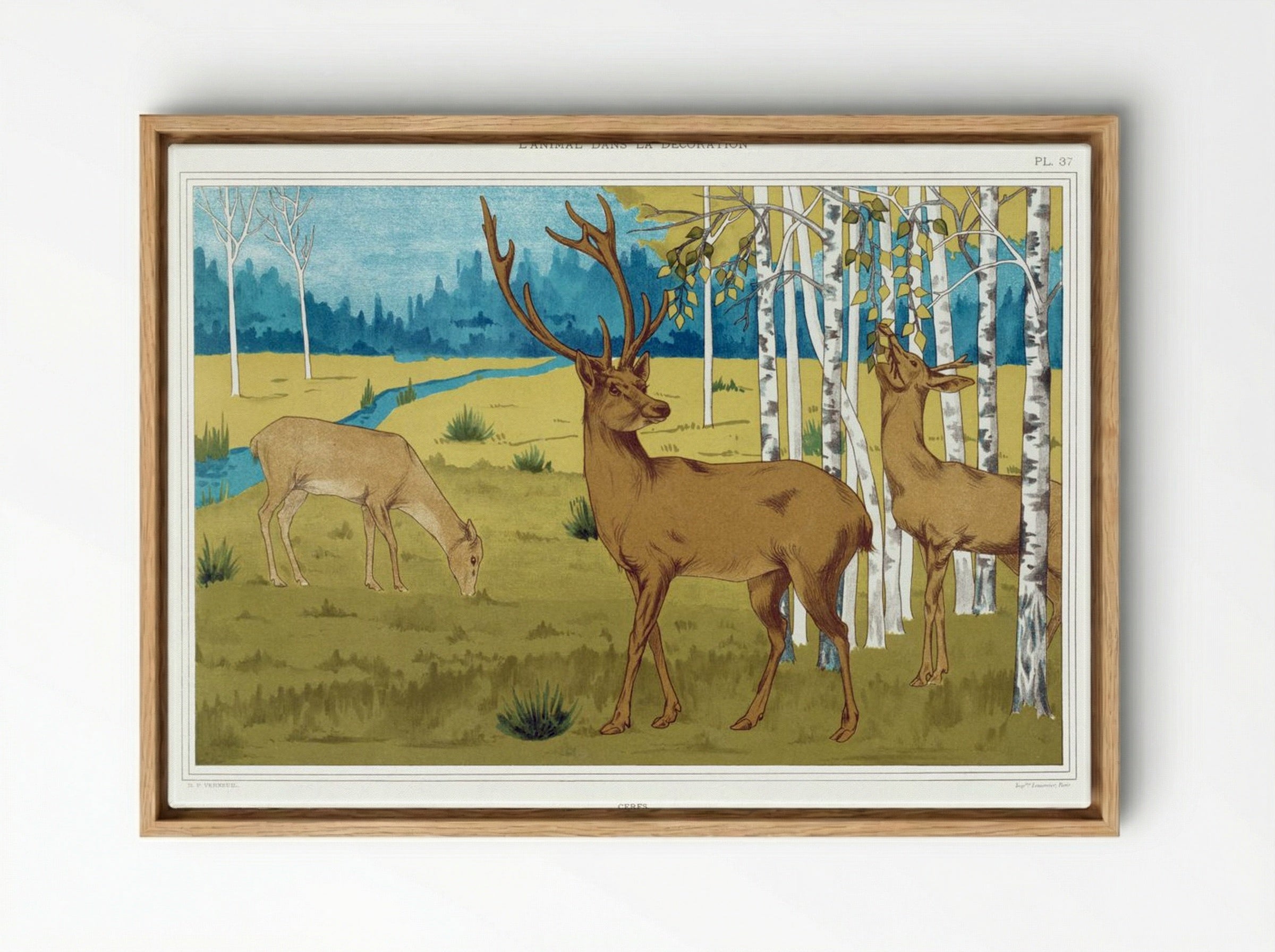 Cerfs (Deer) from L'animal dans la décoration - Maurice Pillard Verneuil - Framed Canvas Wood