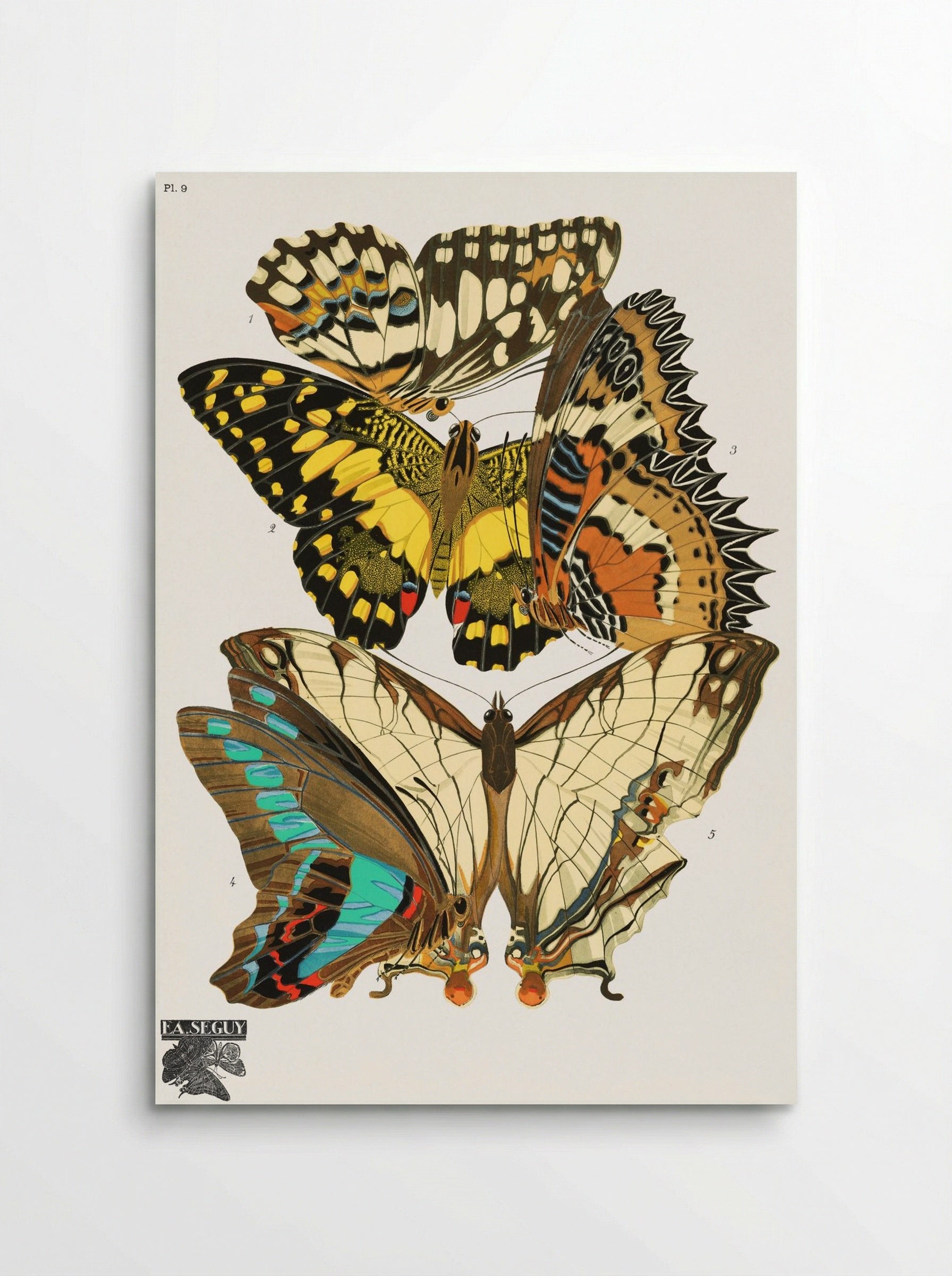 Séguy's Vintage Butterflies - Émile-Allain Séguy - Poster