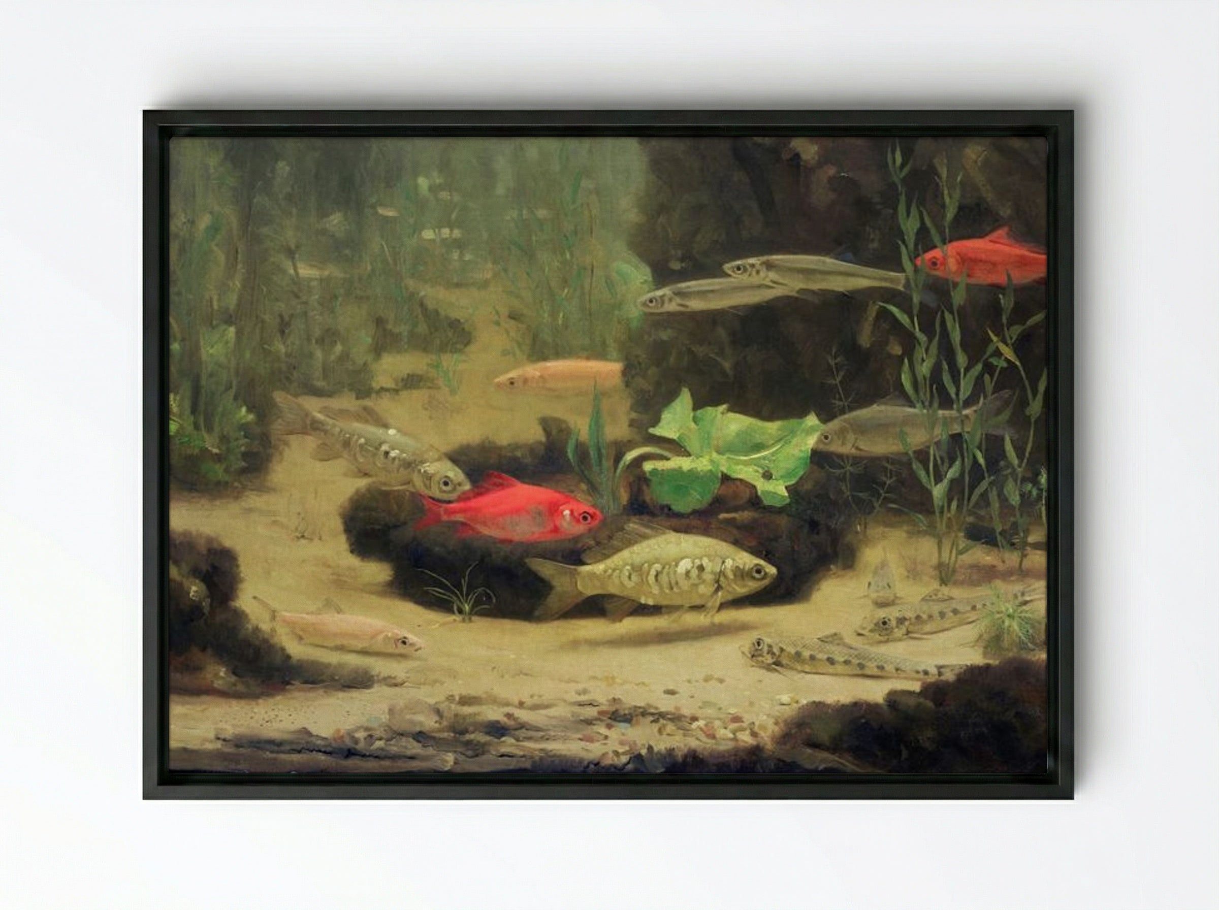 Gold and Silverfish in an Aquarium - Gerrit Willem Dijsselhof - Framed Canvas Black