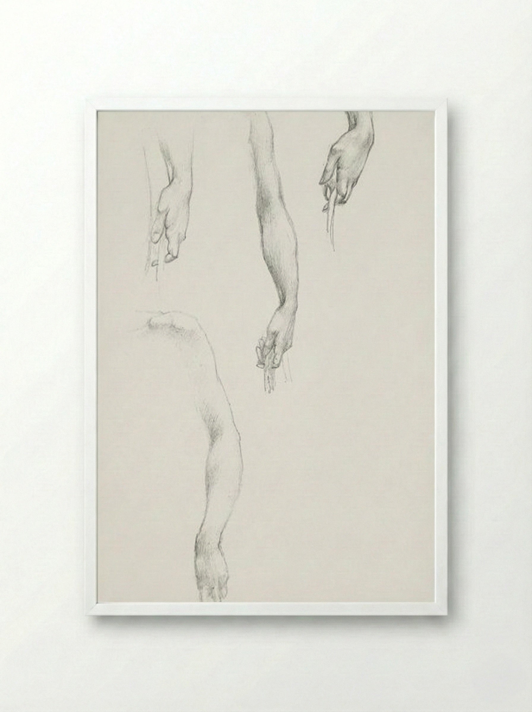 Studies of Arms and Hands - Edward Burne-Jones - Framed Print White