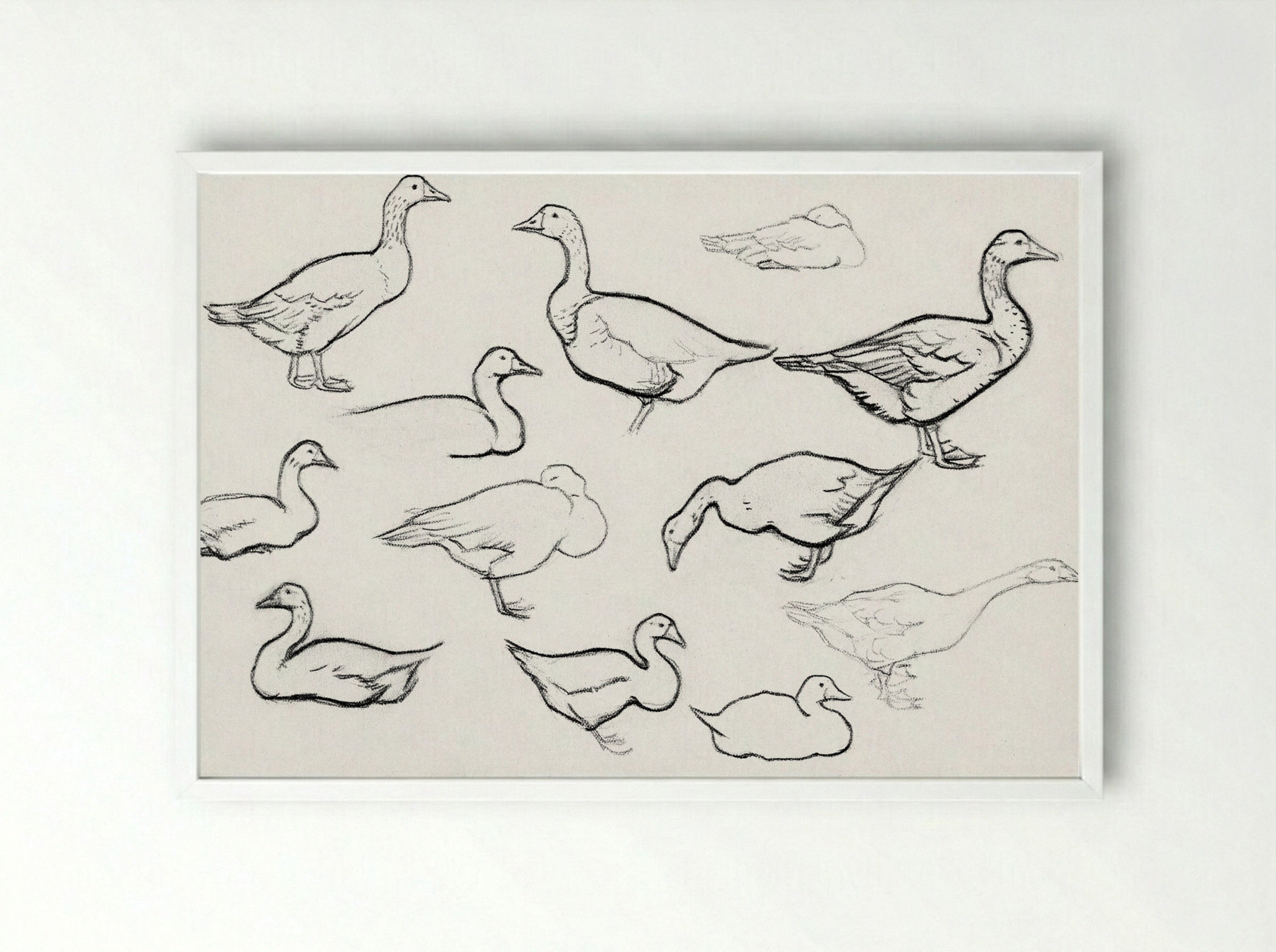 Study of Geese - Julie de Graag - Framed Print White
