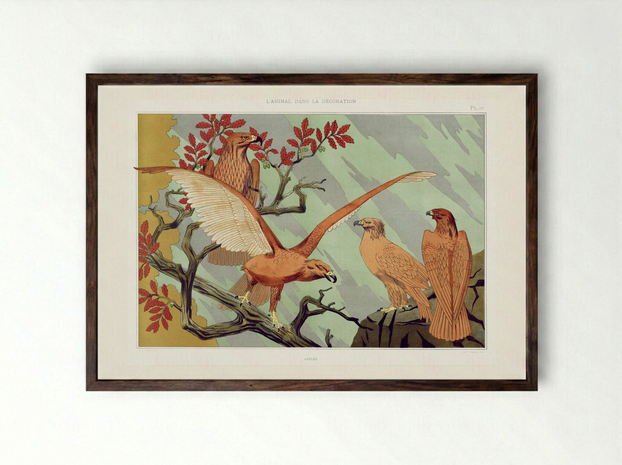 Aigles (Eagles) from L'animal dans la décoration - Maurice Pillard Verneuil - Framed Print Dark Wood