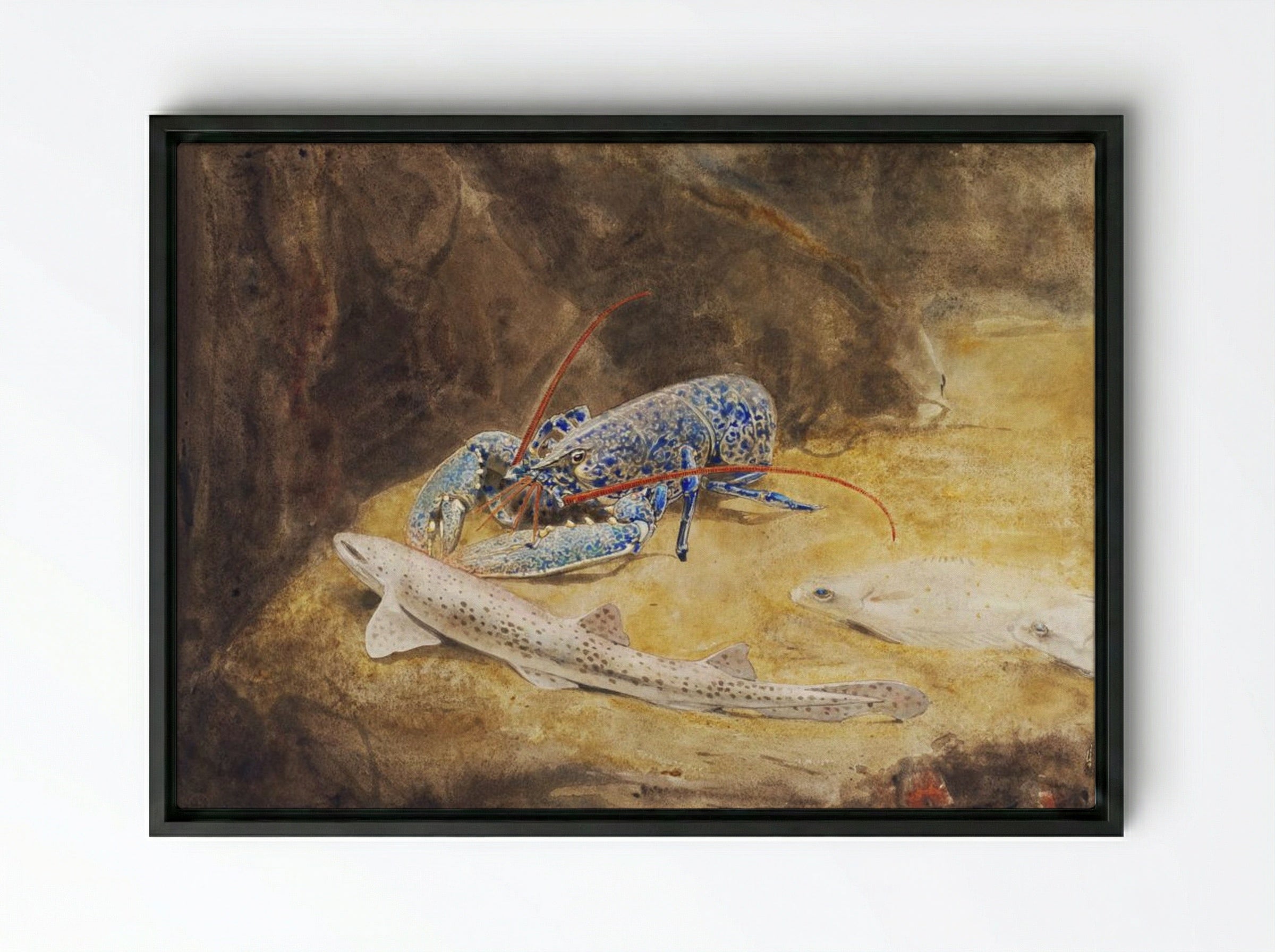 Aquarium with Three North Sea Fish, Lobster, Dogfish and Plaice - Gerrit Willem Dijsselhof - Framed Canvas Black