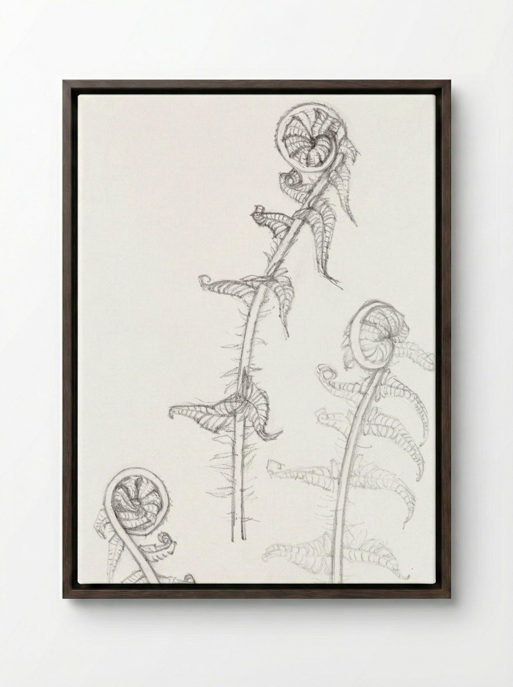 Sketches of Fronds - Julie de Graag - Framed Canvas Dark Wood