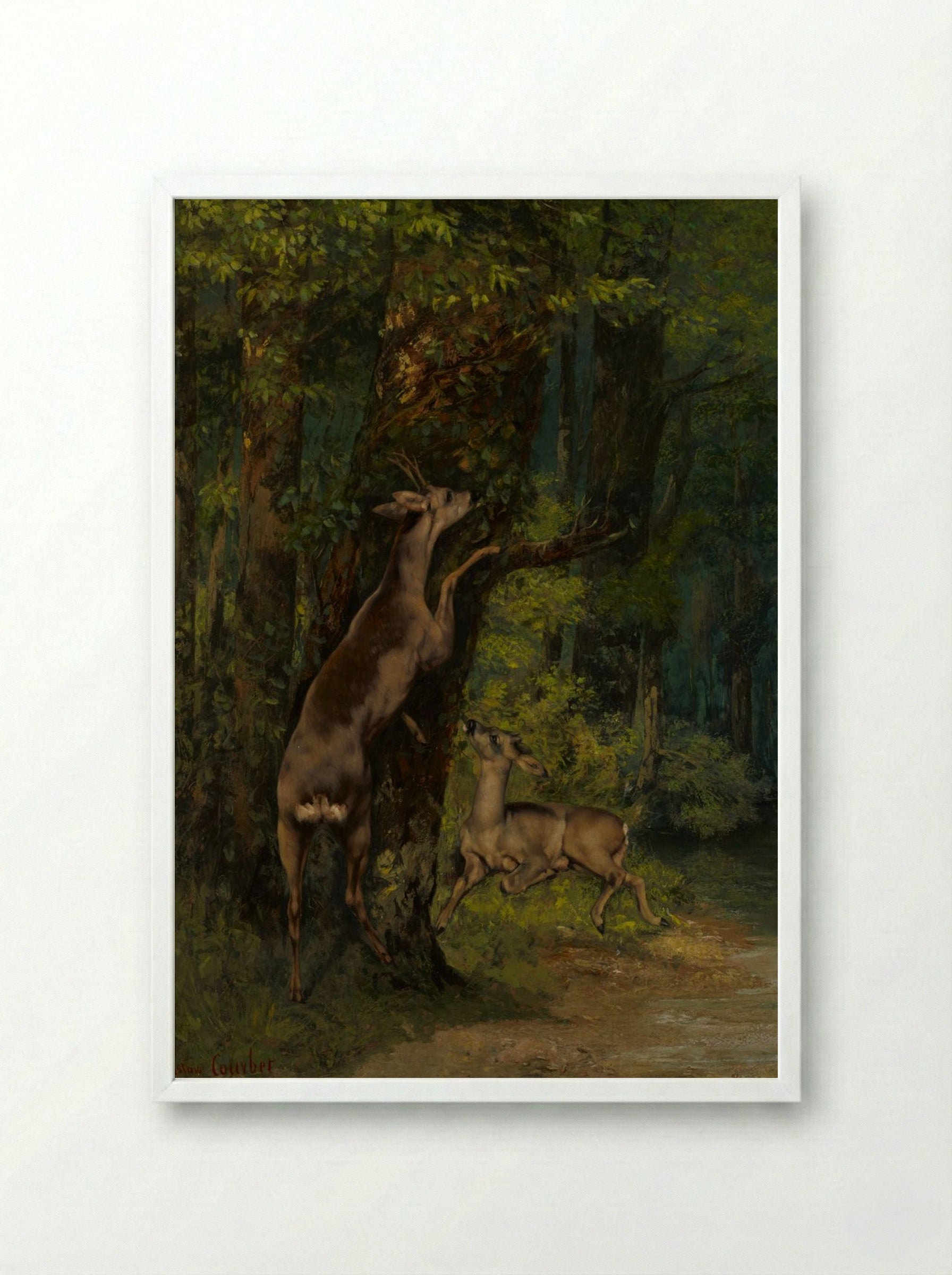 Deer in the Forest - Gustave Courbet - Framed Print White