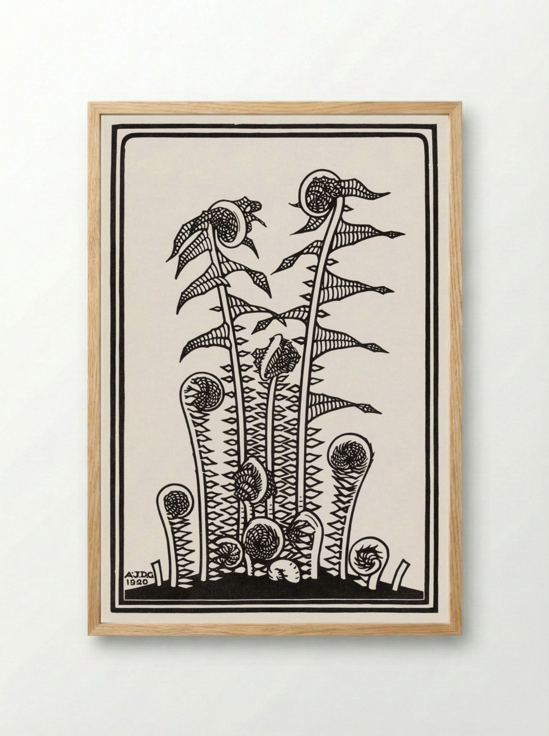 Ferns - Julie de Graag - Framed Print Wood