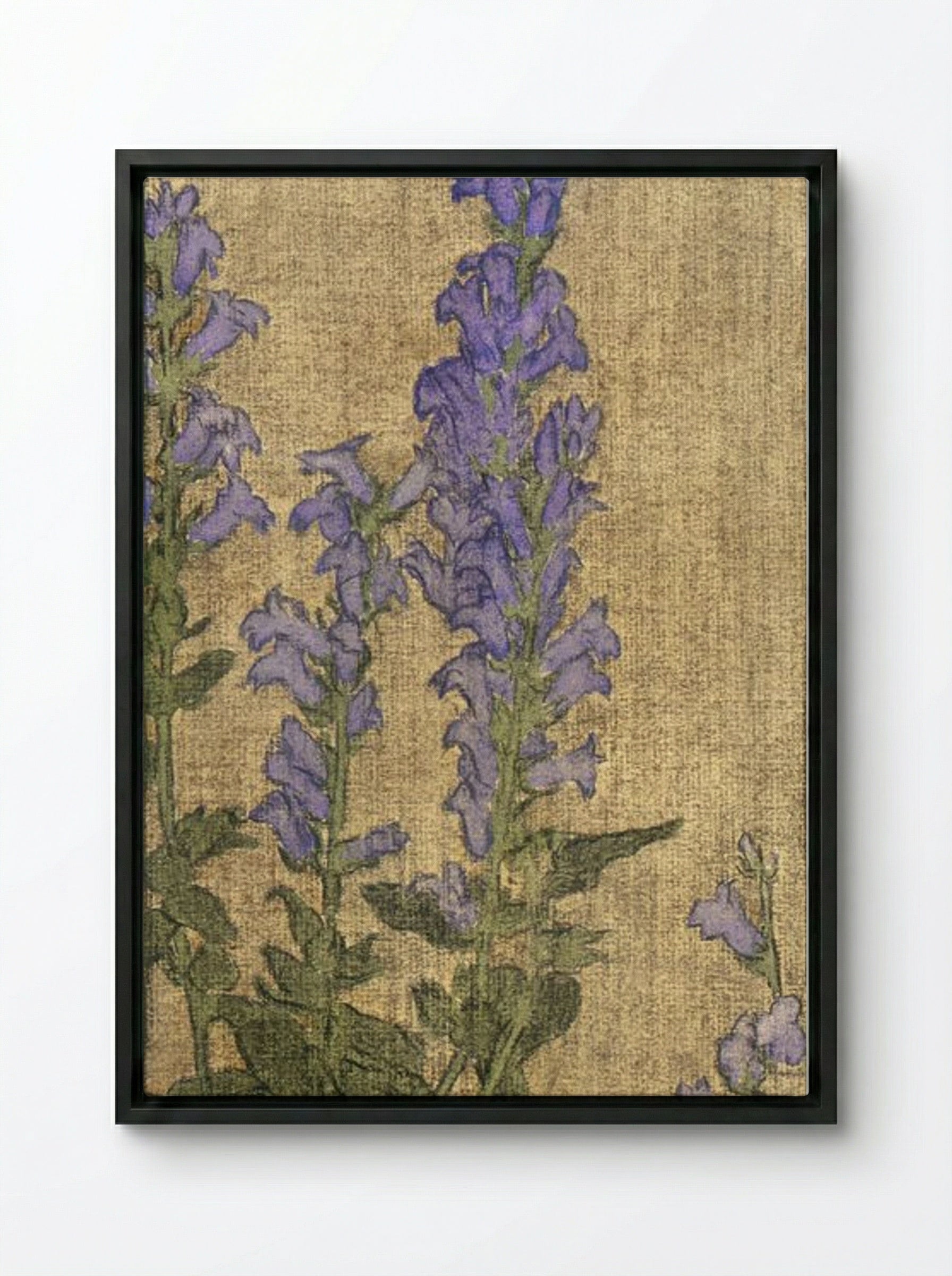 Delphinium - Hannah Borger Overbeck - Framed Canvas Black