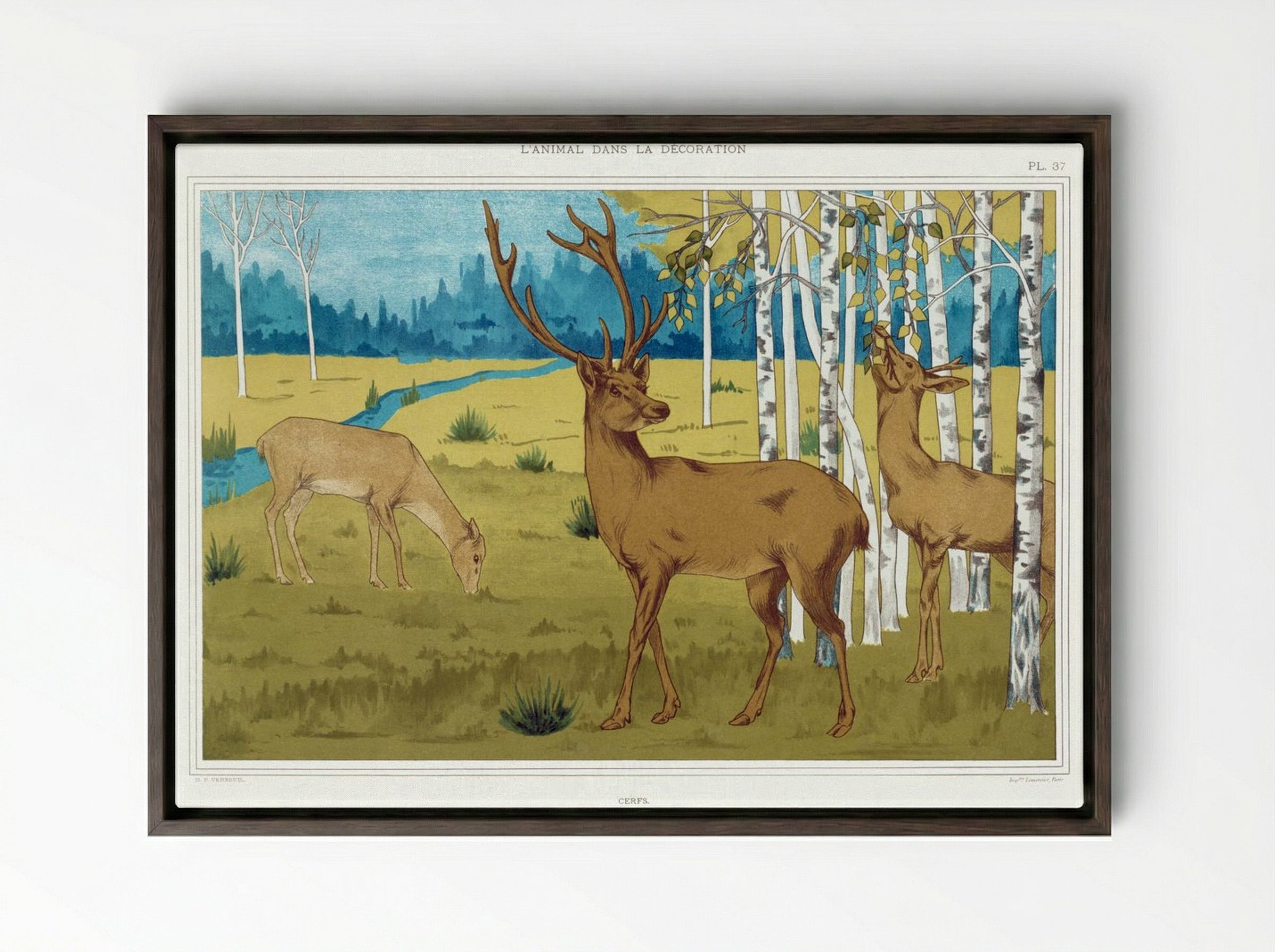 Cerfs (Deer) from L'animal dans la décoration - Maurice Pillard Verneuil - Framed Canvas Dark Wood