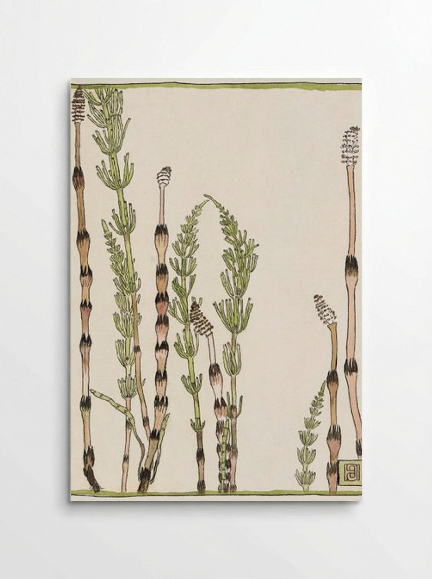 Horsetail - Hannah Borger Overbeck - Poster