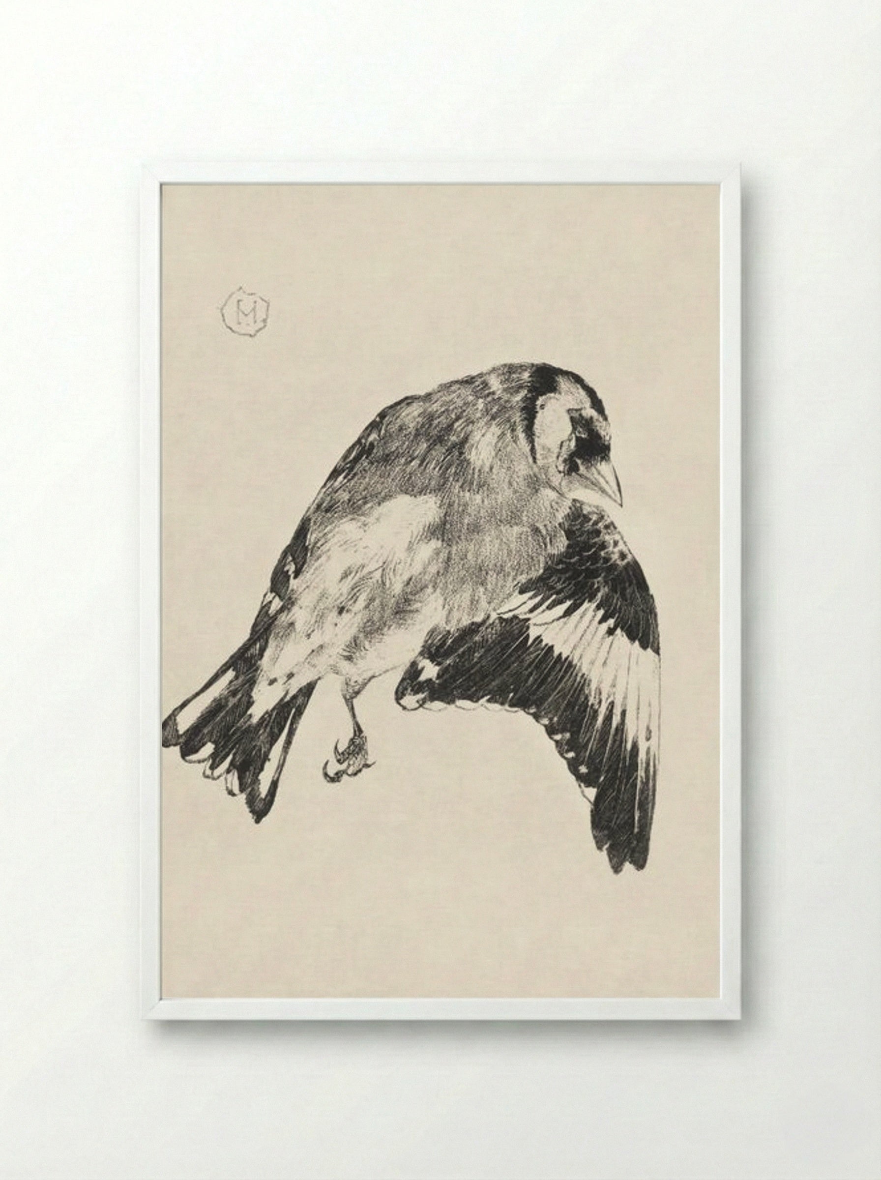 Goldfinch (Study of a Bird in Flight) - Theo van Hoytema - Framed Print White
