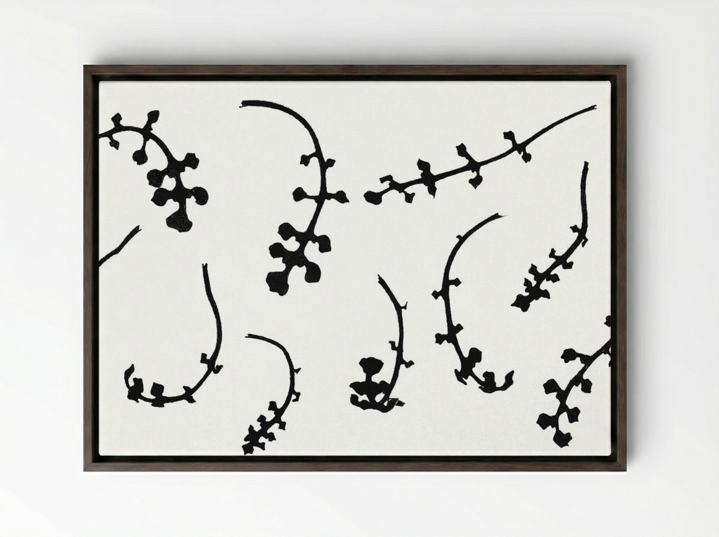 Root Rosettes of the Pentecostal Flower - Julie de Graag - Framed Canvas Dark Wood