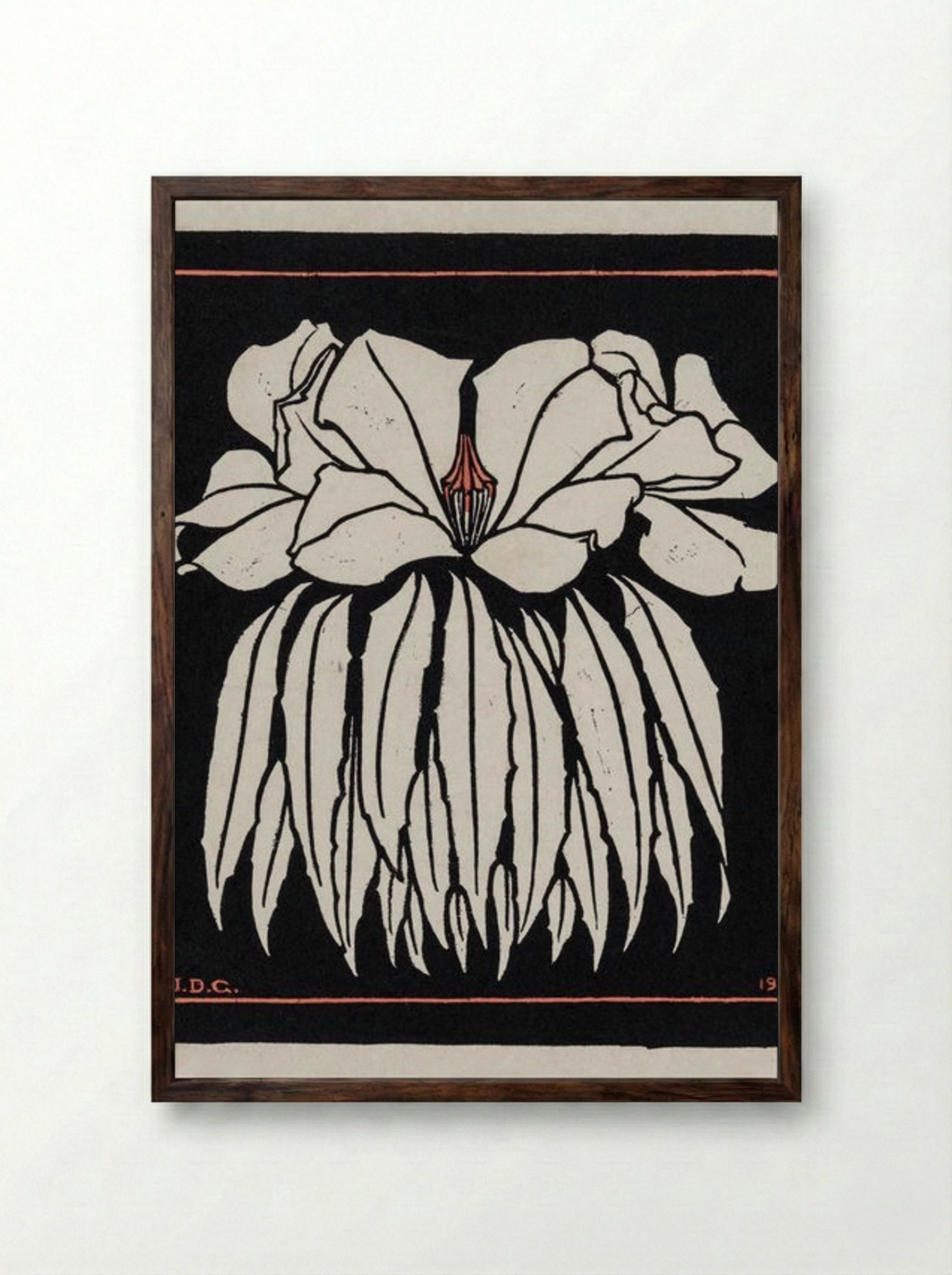 Godetia - Julie de Graag - Framed Print Dark Wood