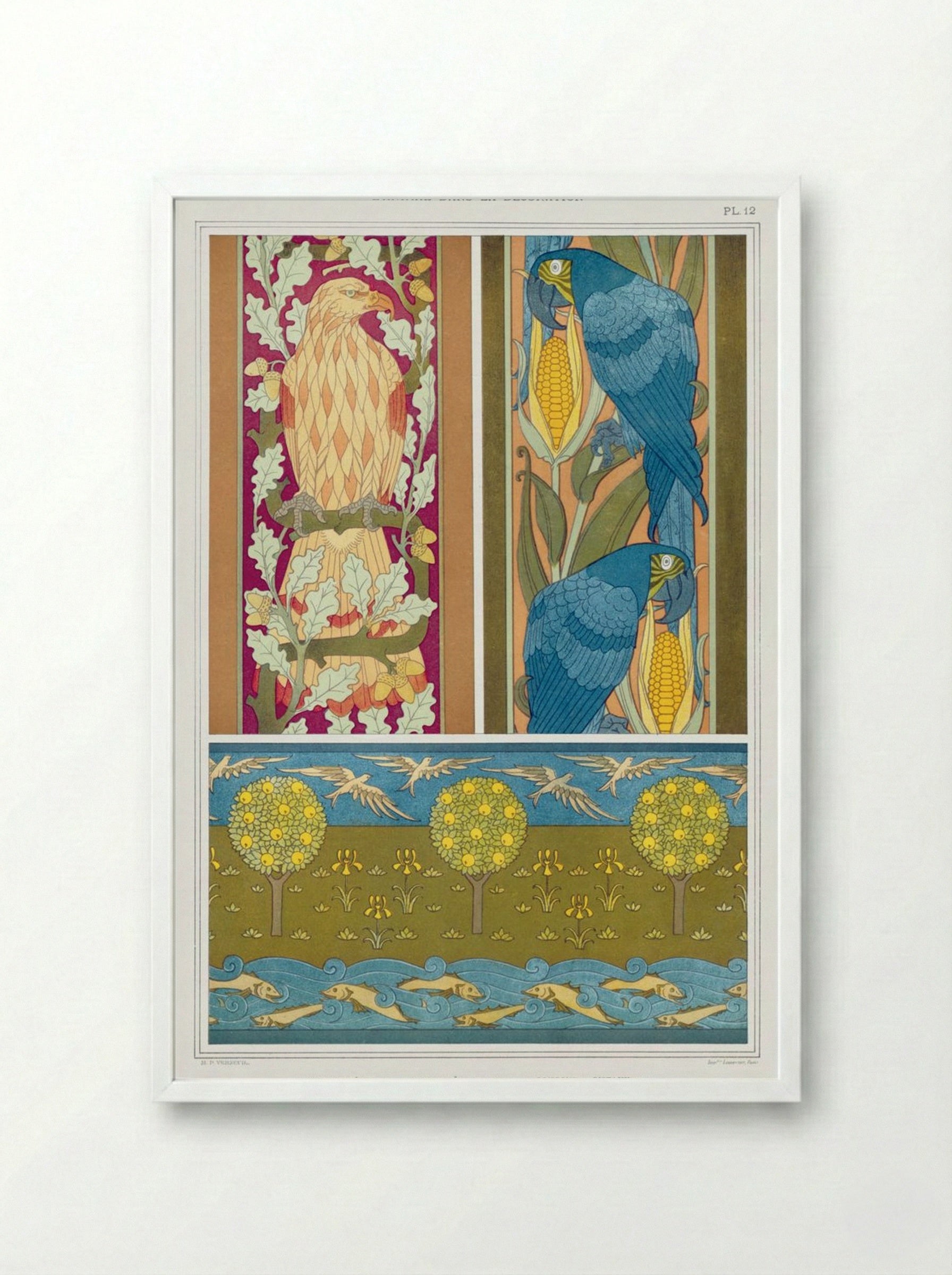 L'Animal dans la Décoration, Plate 12 (Eagle, Macaws, Fish and Birds) - Maurice Pillard Verneuil - Framed Print White