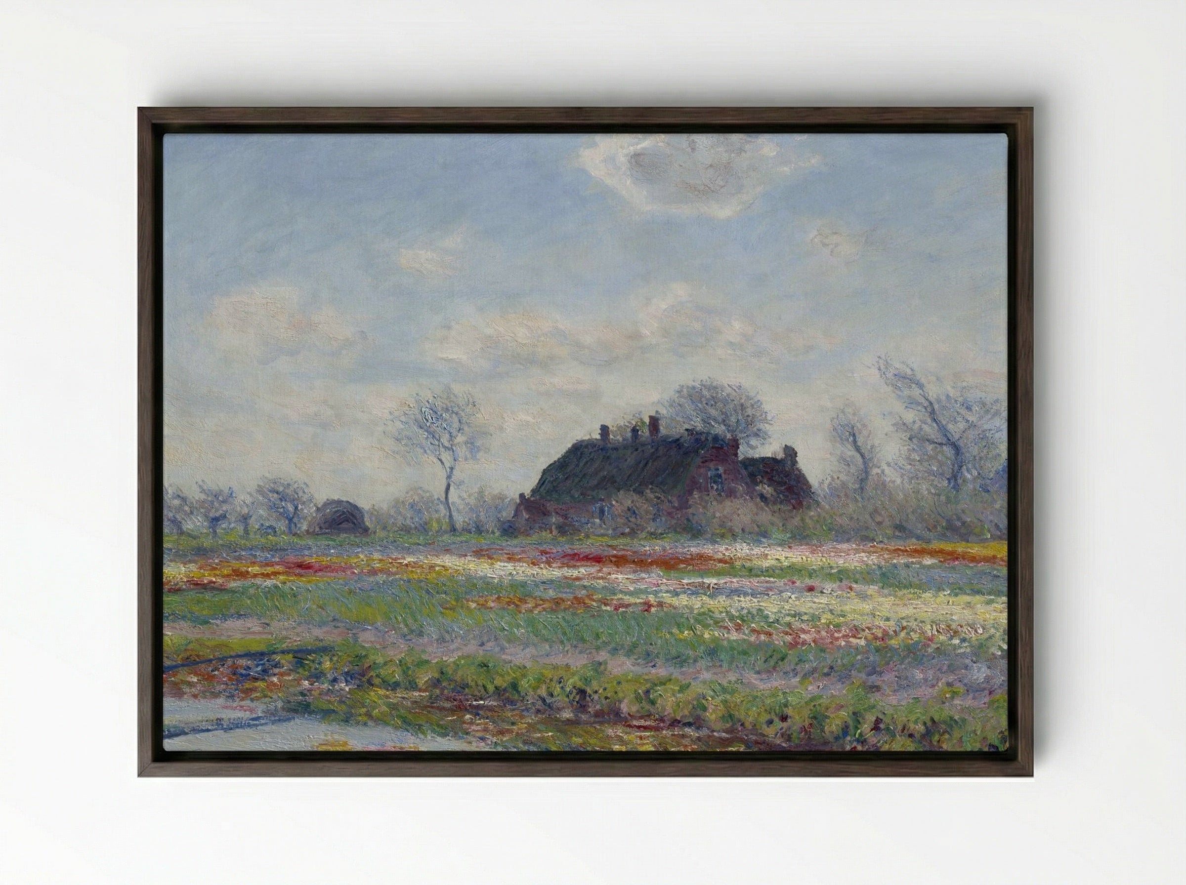 Tulip Fields at Sassenheim - Claude Monet - Framed Canvas Dark Wood