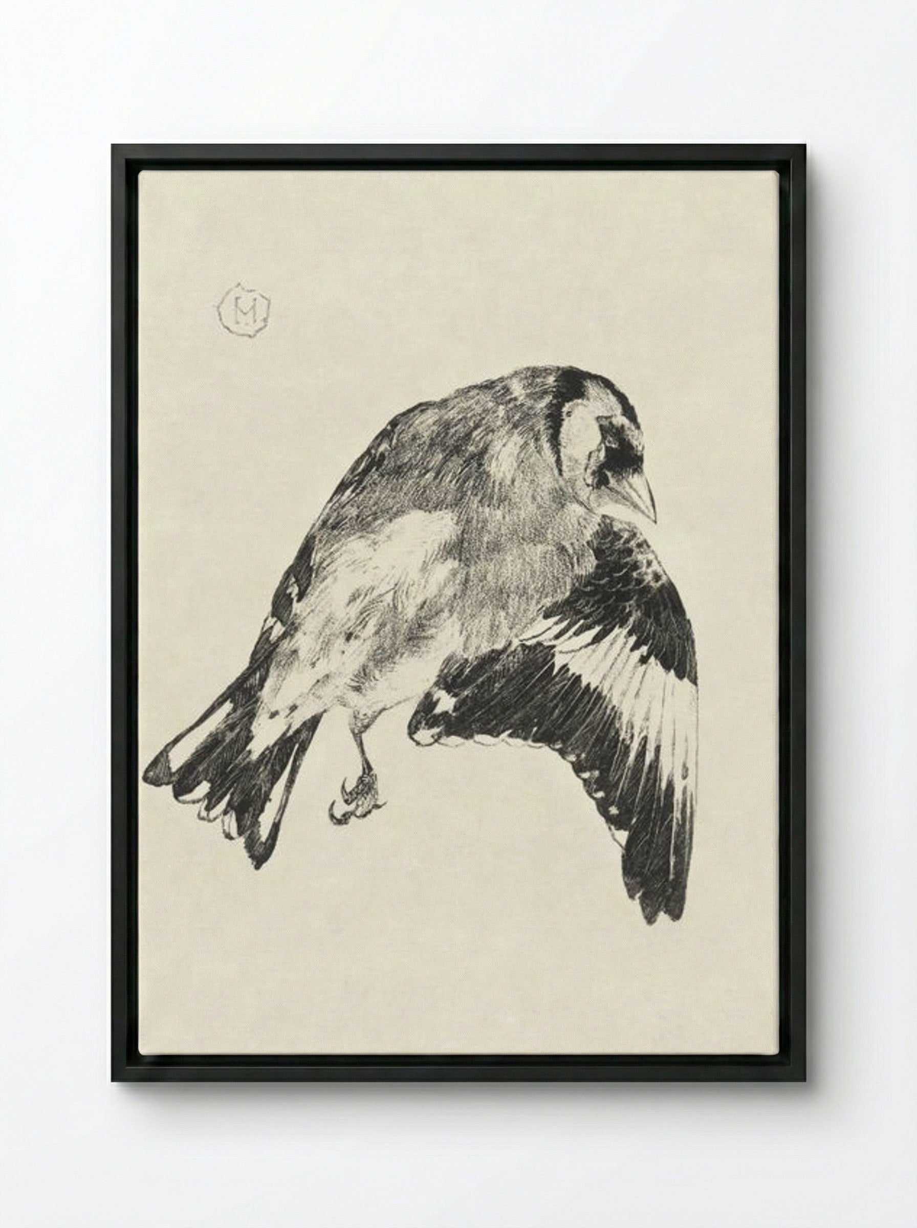 Goldfinch (Study of a Bird in Flight) - Theo van Hoytema - Framed Canvas Black