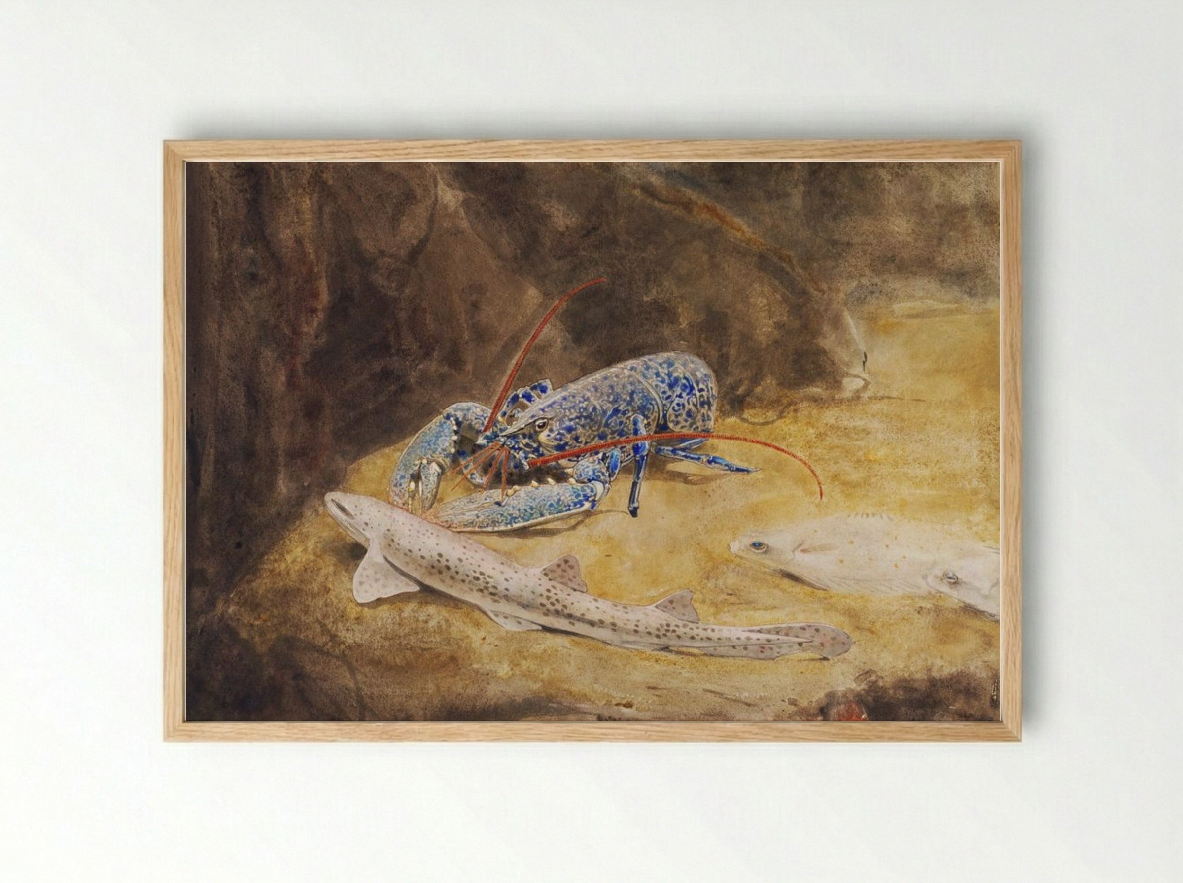 Aquarium with Three North Sea Fish, Lobster, Dogfish and Plaice - Gerrit Willem Dijsselhof - Framed Print Wood