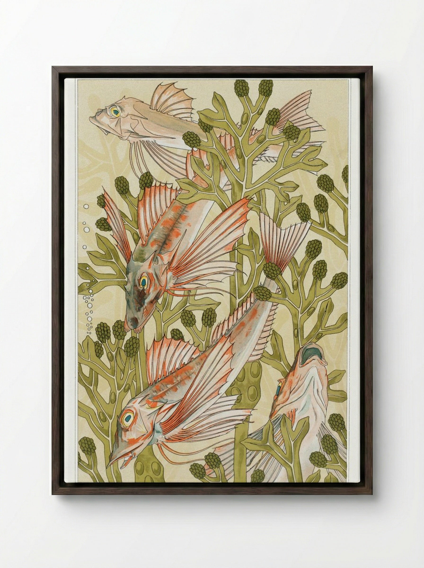 Rouget (From L'animal dans la décoration) - Maurice Pillard Verneuil - Framed Canvas Dark Wood