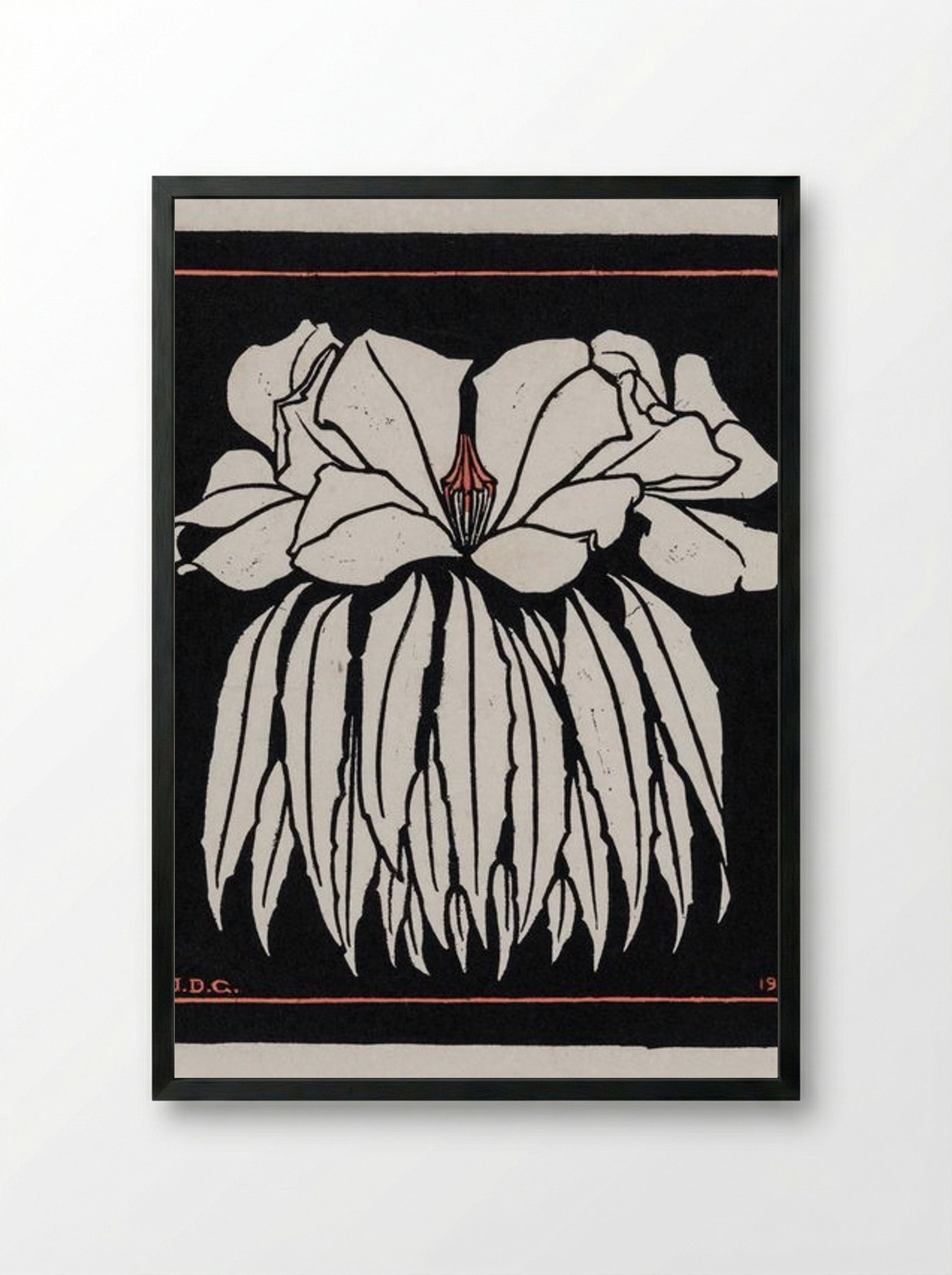 Godetia - Julie de Graag - Framed Print Black