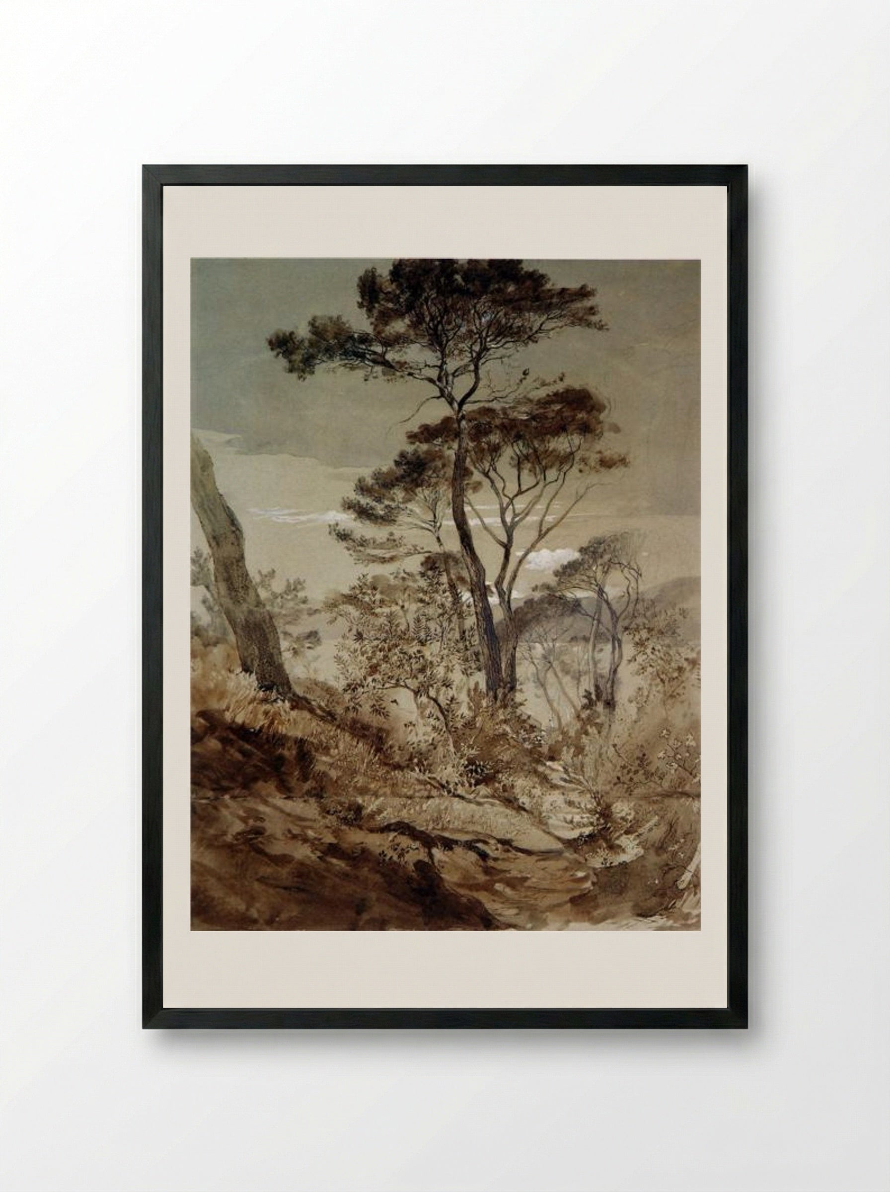 Stone Pines at Sestri - John Ruskin - Framed Print Black