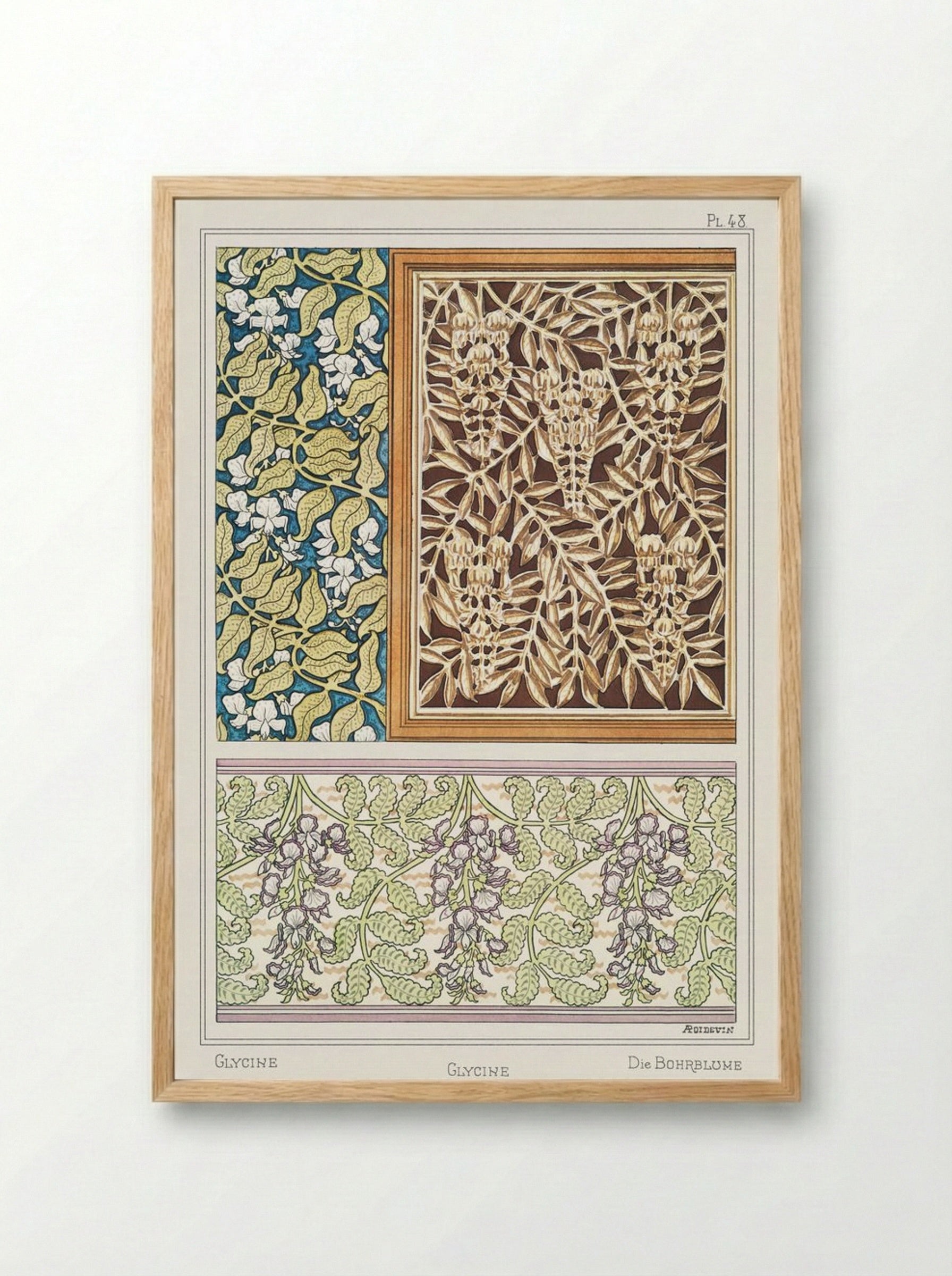 Glycine (Wisteria) from La Plante et ses Applications ornementales - Maurice Pillard Verneuil - Framed Print Wood